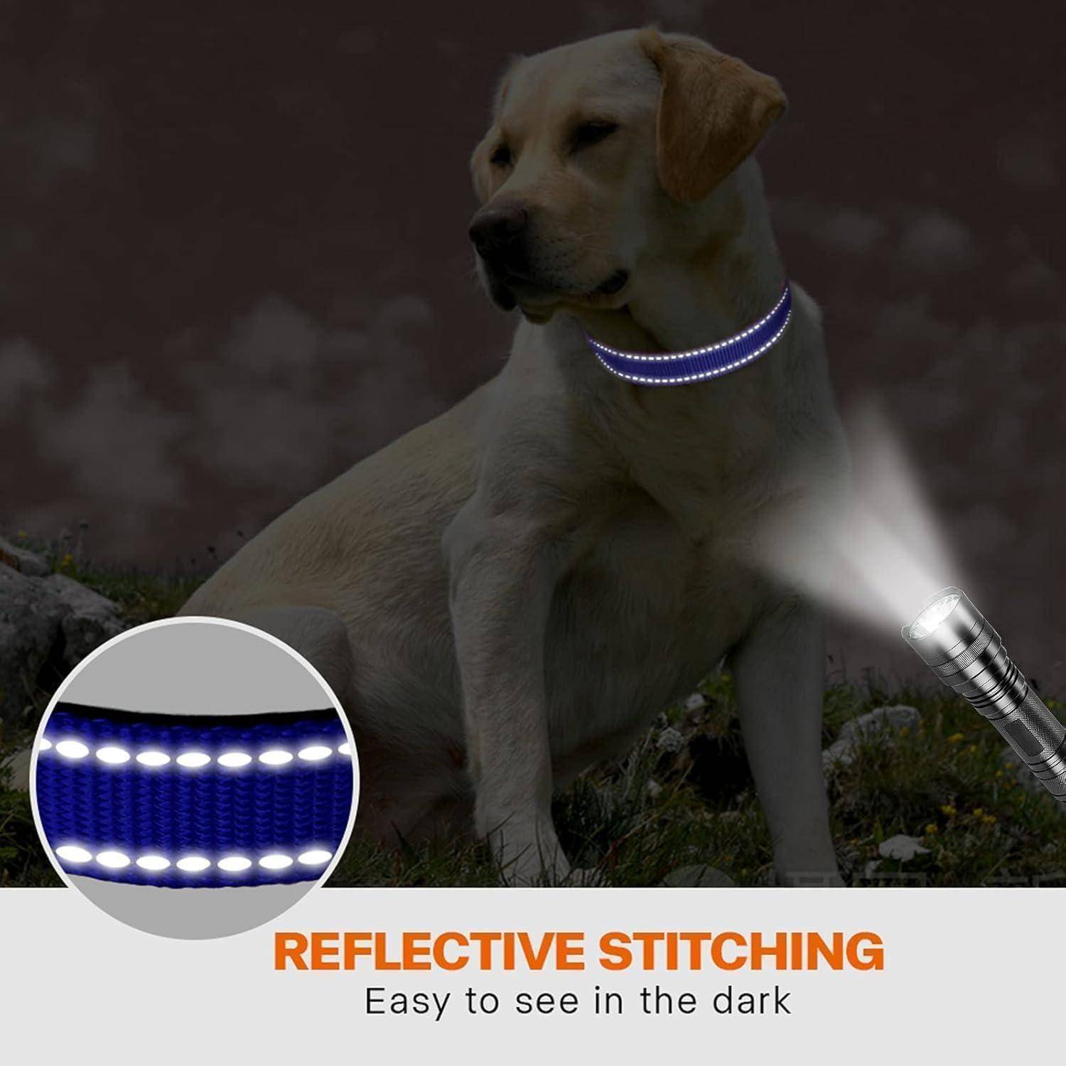 Hundehalsband Neopren verstellbar XL (45-70cm) Dunkelblau
