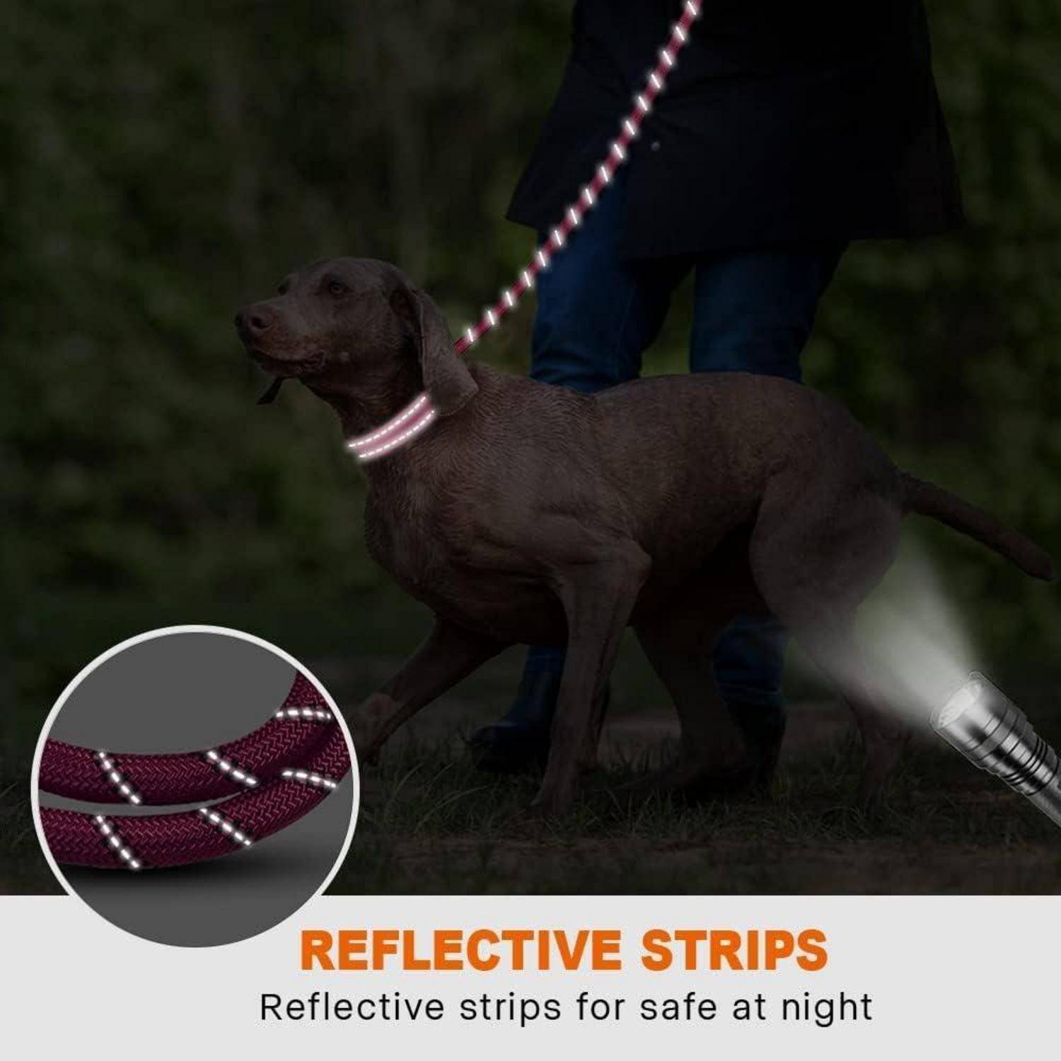 Ein Hund mit einem Halsband mit reflektierenden Streifen steht nachts neben einer Person. Die Einblendung zeigt eine Nahaufnahme der reflektierenden Halsbanddetails.