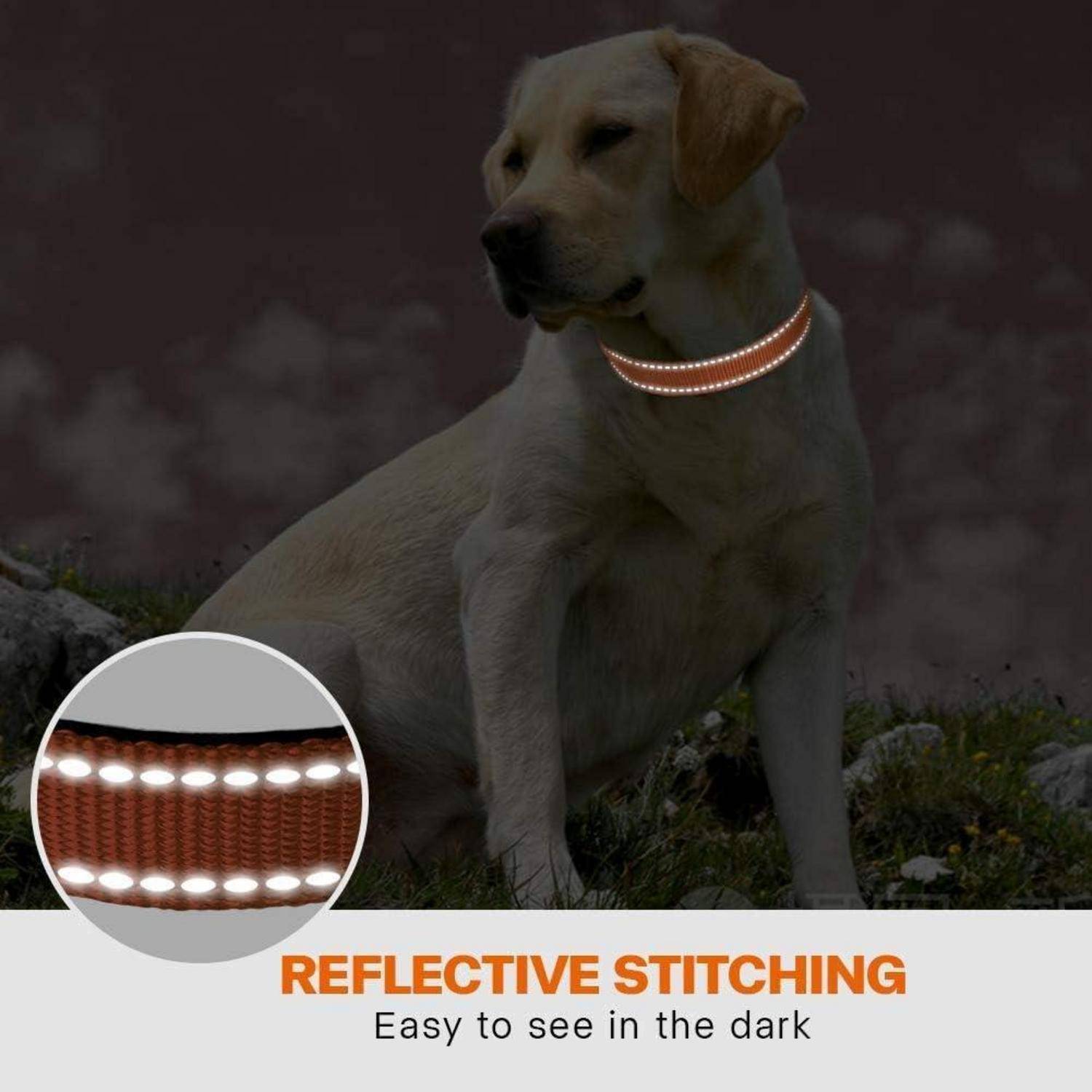 Hundehalsband Neopren Nylon Reflektierend L (40-60cm) Orange