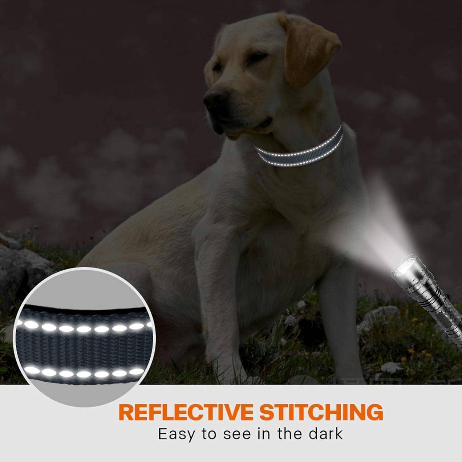 Ein Hund, der nachts ein Halsband mit reflektierender Naht trägt. Text lautet: „Reflektierende Naht: Leicht zu erkennen in der Dunkelheit.