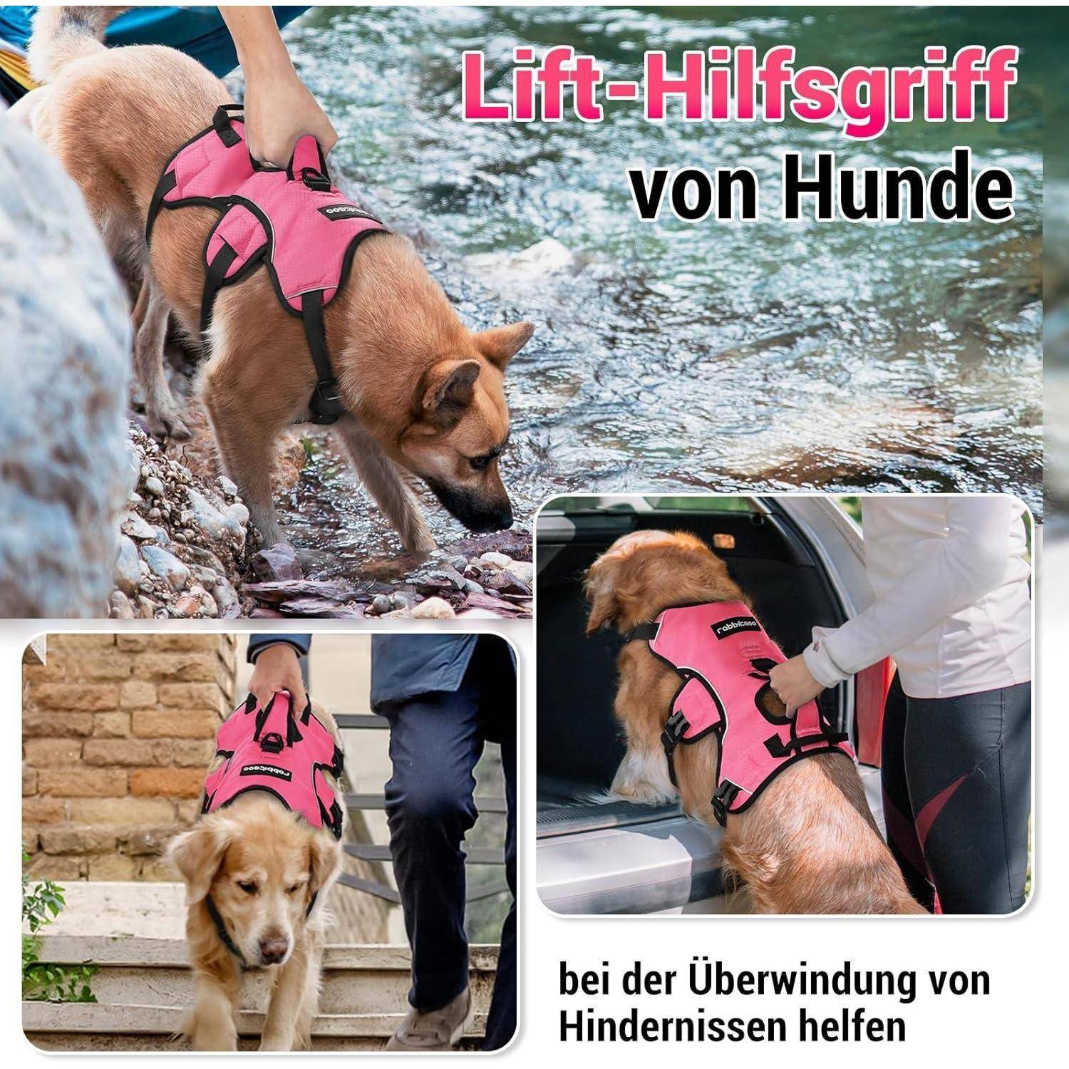 Ein Hund trägt ein rosa Tragegeschirr in der Nähe von Wasser. Text: 'Lift-Hilfsgriff von Hunden, bei der Überwindung von Hindernissen helfen.