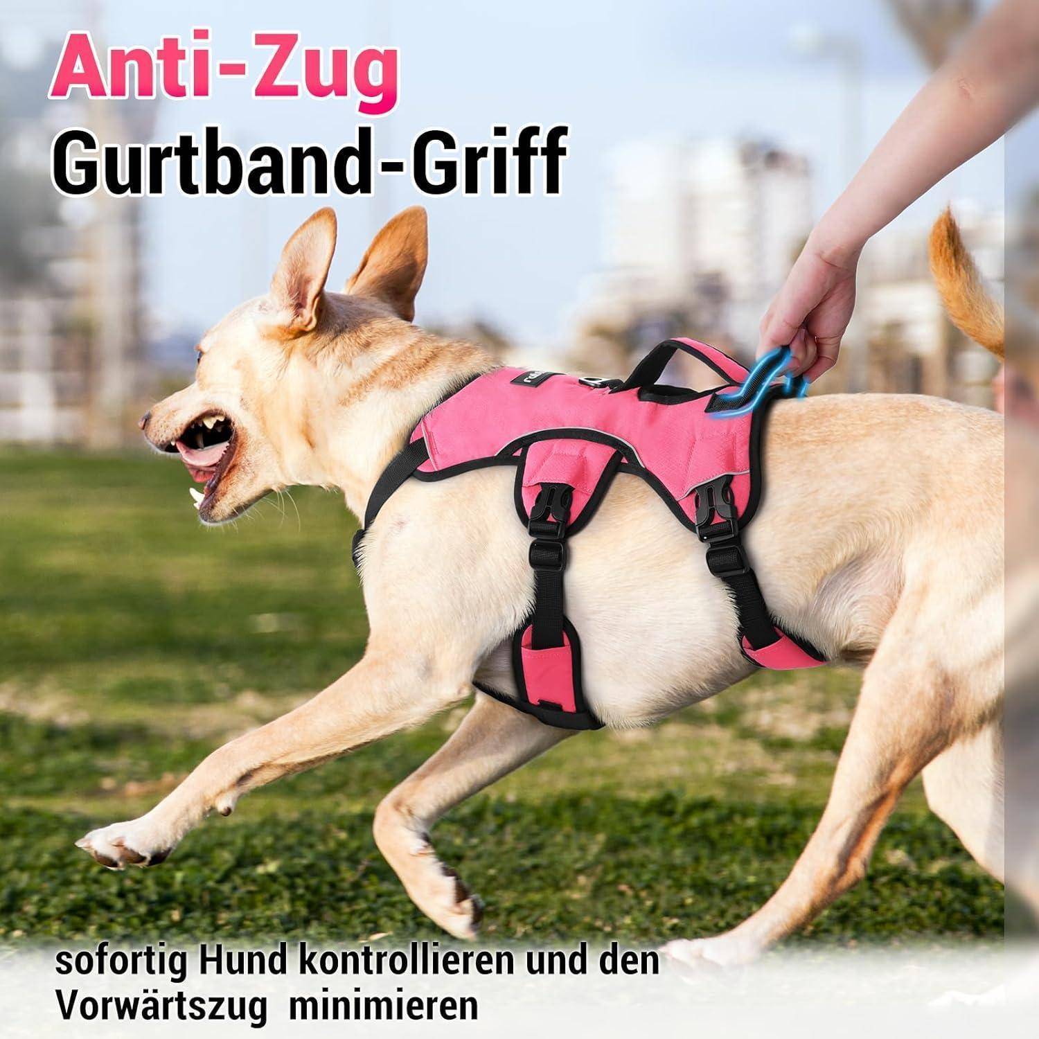 Ein Hund mit einem rosa Anti-Zieh-Geschirr und einem Griffriemen läuft energisch über Gras. Eine Hand hält den Riemen, um den Hund zu kontrollieren.