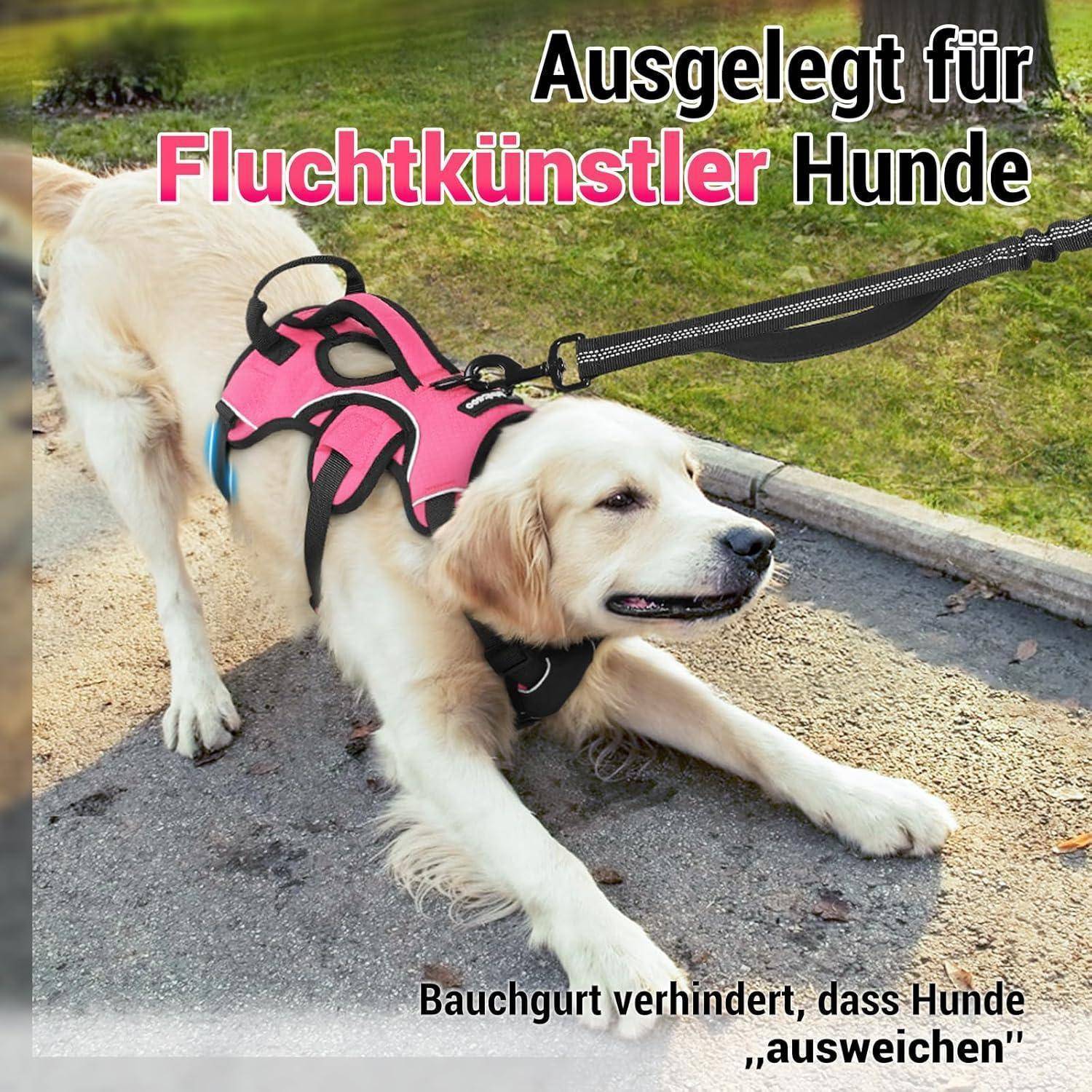 Ein Hund mit einem pinken Geschirr liegt auf einem Weg und wird von einer Leine gehalten. Der Text lautet: 'Ausgelegt für Fluchtkünstler Hunde'.