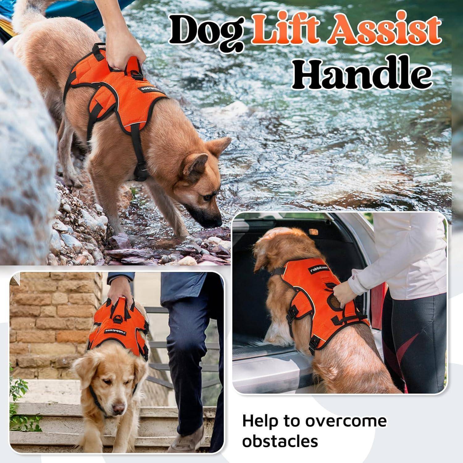 Ein Hund, der ein orangefarbenes Aufzugsunterstützungsgeschirr trägt, hilft seinem Besitzer, Hindernisse im Freien zu überwinden und veranschaulicht damit die Leichtigkeit der Mobilität.