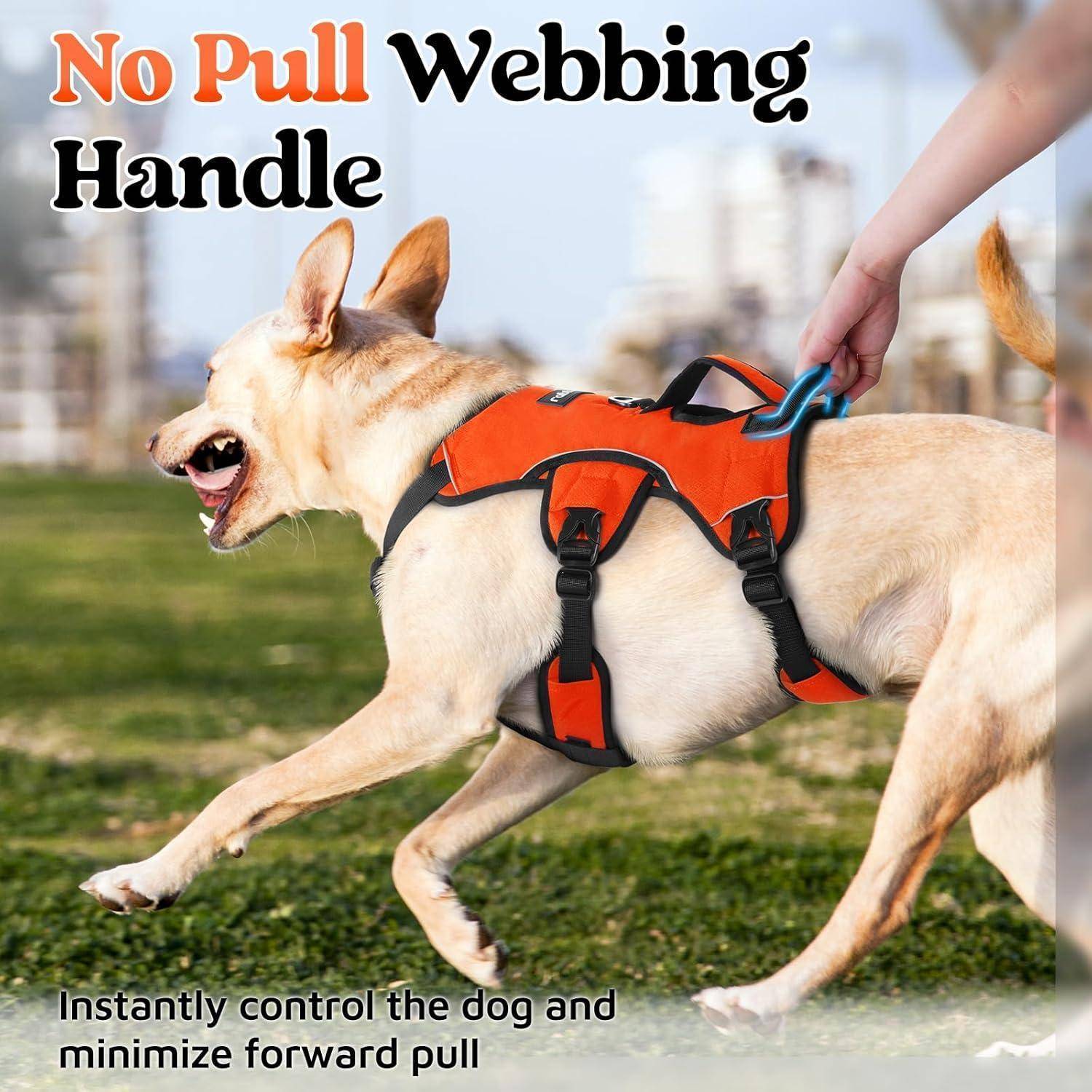 Ein brauner Hund mit orangefarbenem Geschirr auf Gras, wobei eine Person den Griff hält. Text lautet 'Keine Zug-Webbing-Griff' und beschreibt die Funktionalität.
