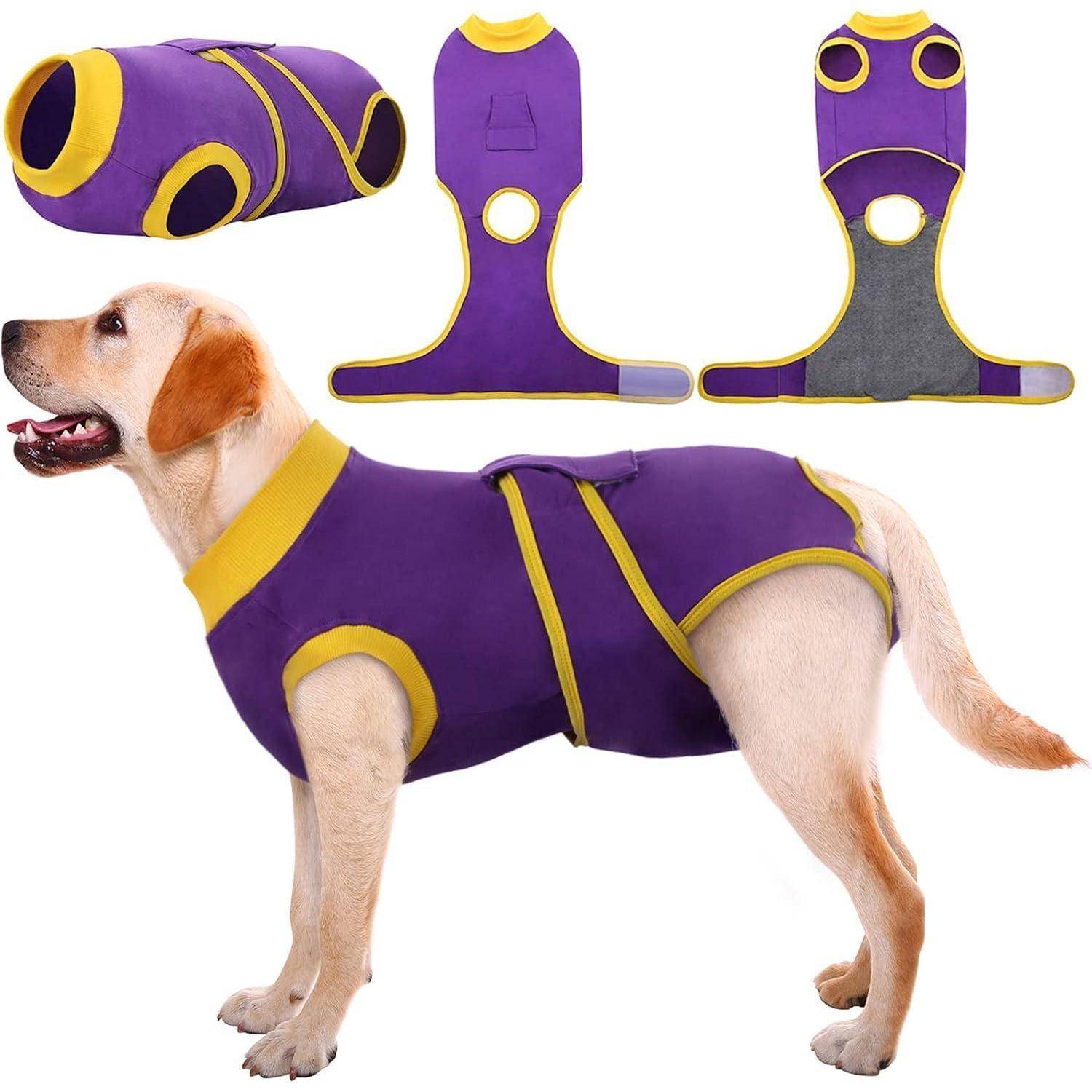 Ein Hund, der eine Jacke in Lila und Gelb trägt, mit zusätzlichen Ansichten, die das Design der Jacke, einschließlich Beinöffnungen und Befestigungen, zeigen.