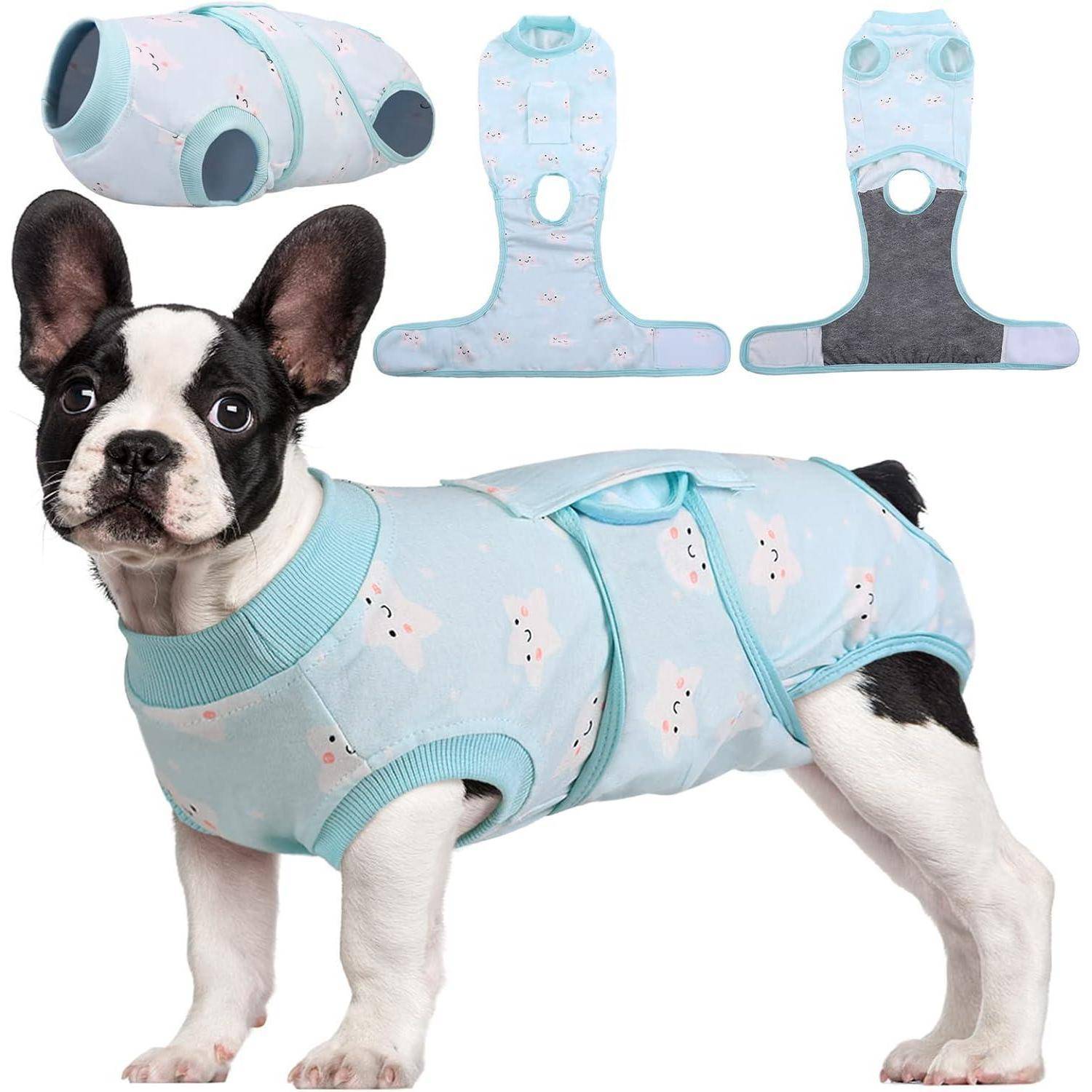 Ein kleiner schwarz-weißer Hund, der einen blauen Einteiler trägt, steht nach links gerichtet. Darüber sind Ansichten des gleichen Einteilers in seiner Gestaltung und Form zu sehen.