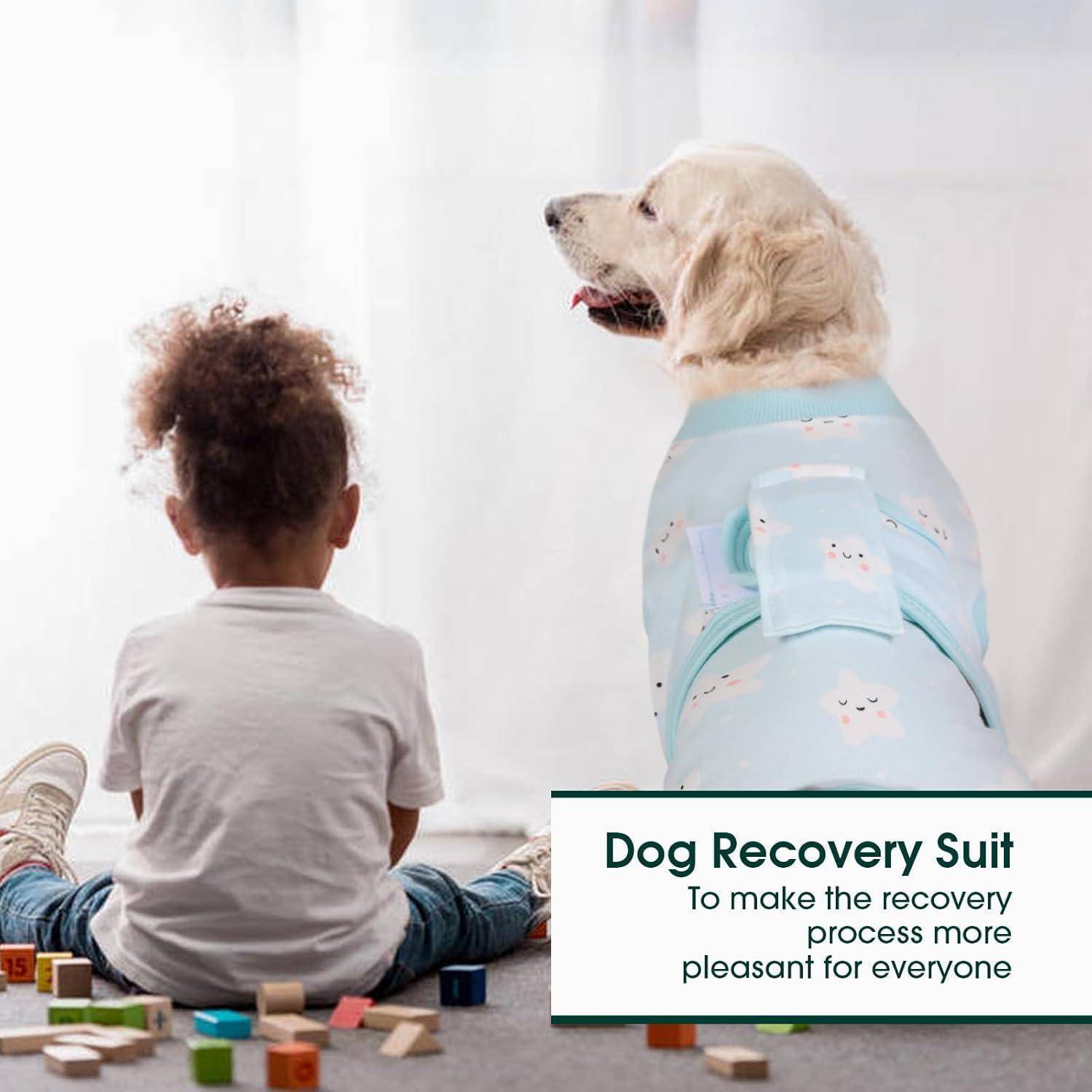 Ein Kind sitzt auf dem Boden mit Spielzeug und blickt auf einen Golden Retriever, der einen blauen Genesungsanzug trägt. Text lautet 