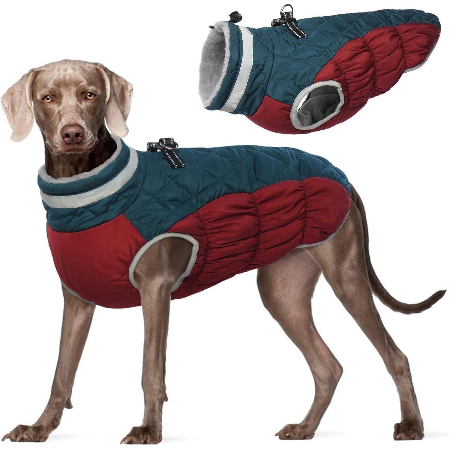 Ein Hund trägt einen gesteppten Mantel in Blau und Rot und steht neben dem gleichen Mantel, der flach ausgebreitet liegt und Details der Konstruktion und Verschlüsse zeigt.