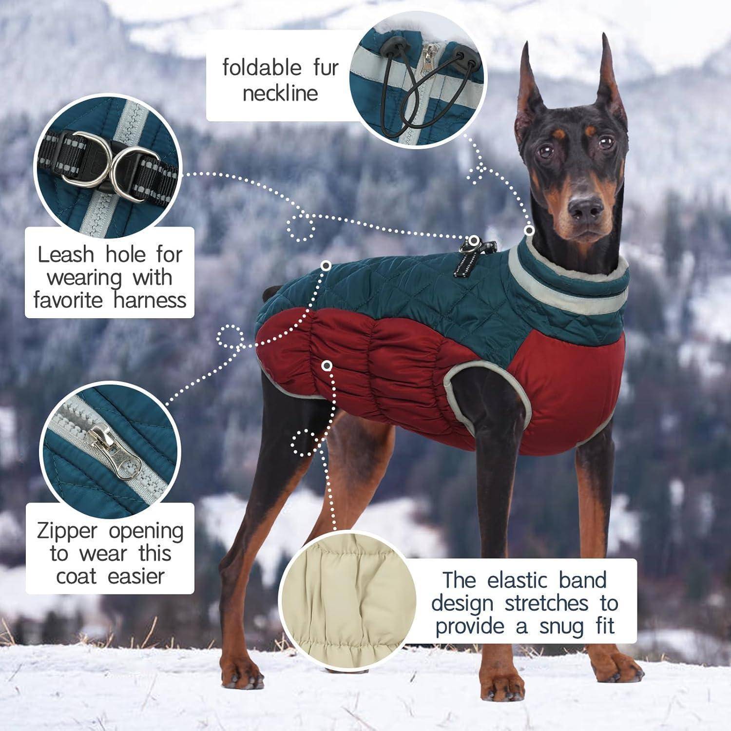 Ein großer Hund, der einen Wintermantel trägt, mit gekennzeichneten Merkmalen: umschlagbarer Pelzkragen, Leinen-Durchgang, Reißverschluss-Öffnung, elastisches Band für eine enge Passform.