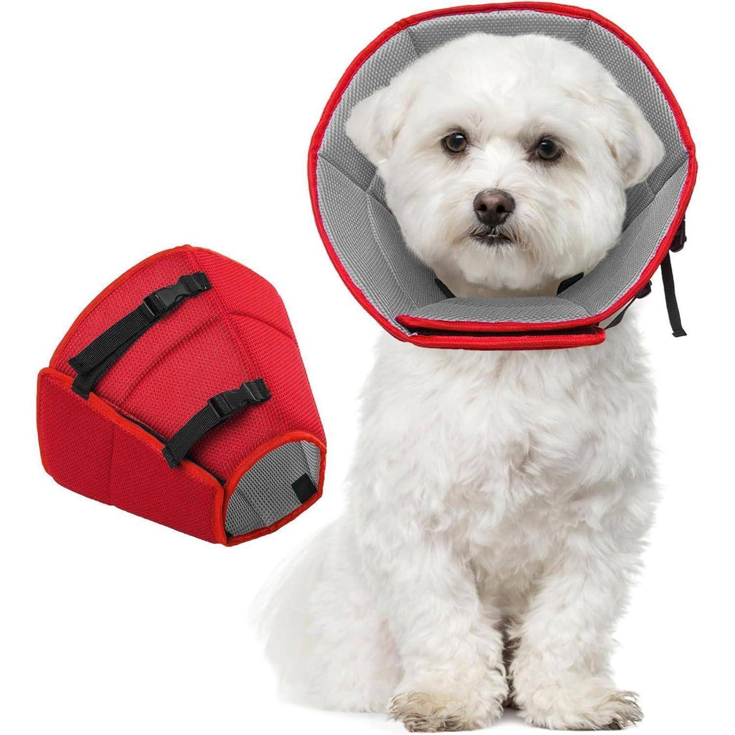 Ein weißer Hund mit einem roten Schutzkegel sitzt und blickt nach vorn; ein roter verstellbarer Kegel ist seitlich zu sehen.