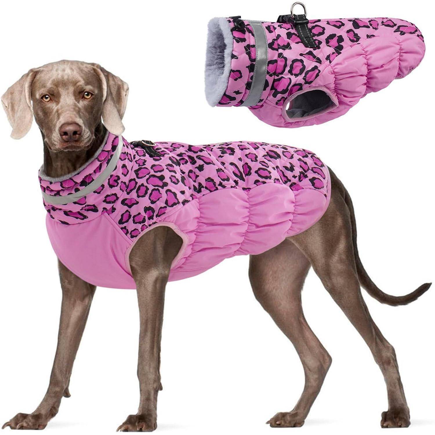 Ein Hund trägt einen rosa Leopardenmuster-Mantel mit reflektierenden Riemen und steht nach vorne gerichtet. Die Einblendung zeigt eine Nahaufnahme des Manteldesigns.