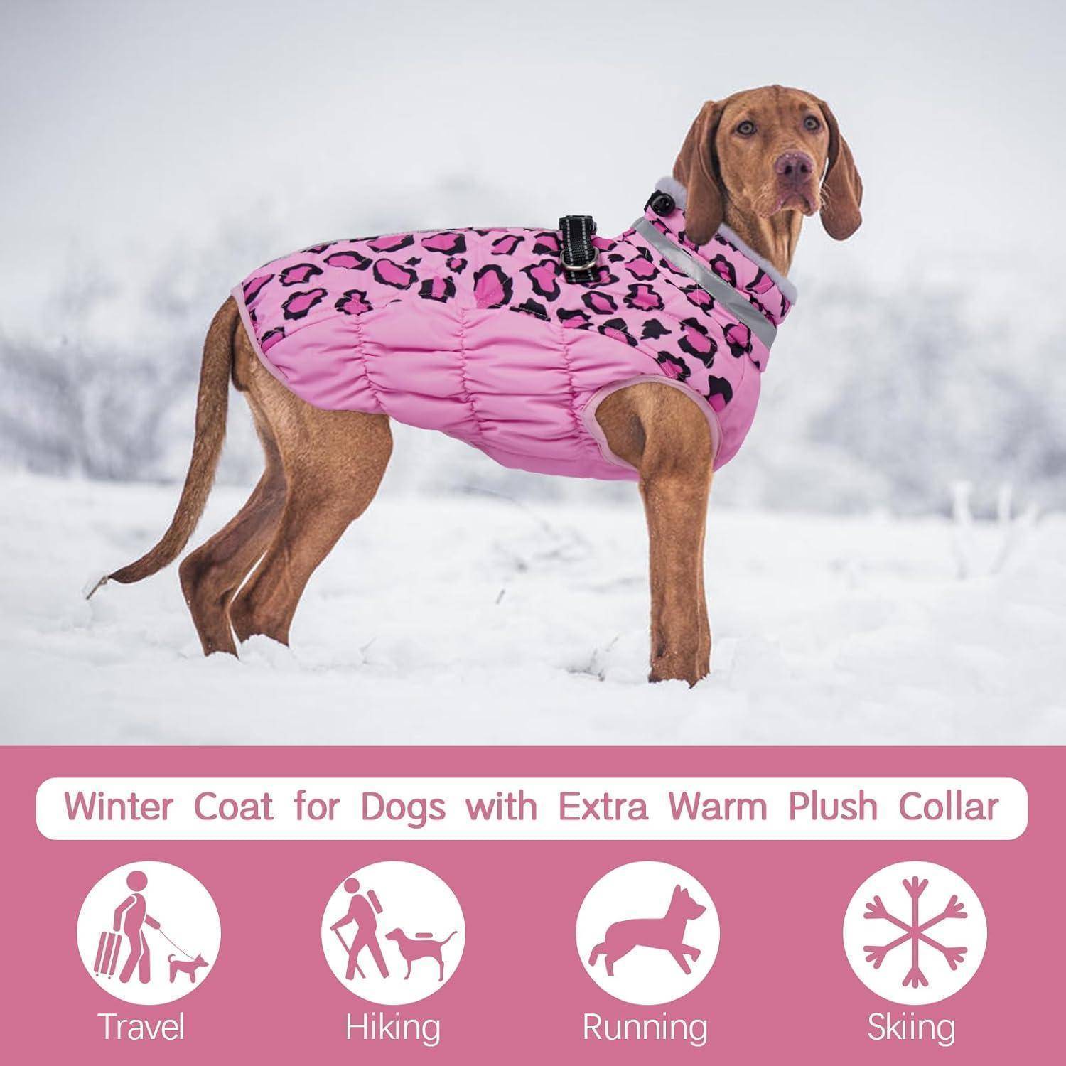 Ein Hund steht im Schnee und trägt einen rosa gemusterten Wintermantel mit einem plüschigen Kragen. Icons unten zeigen die Eignung für Reisen, Wandern, Laufen und Skifahren.