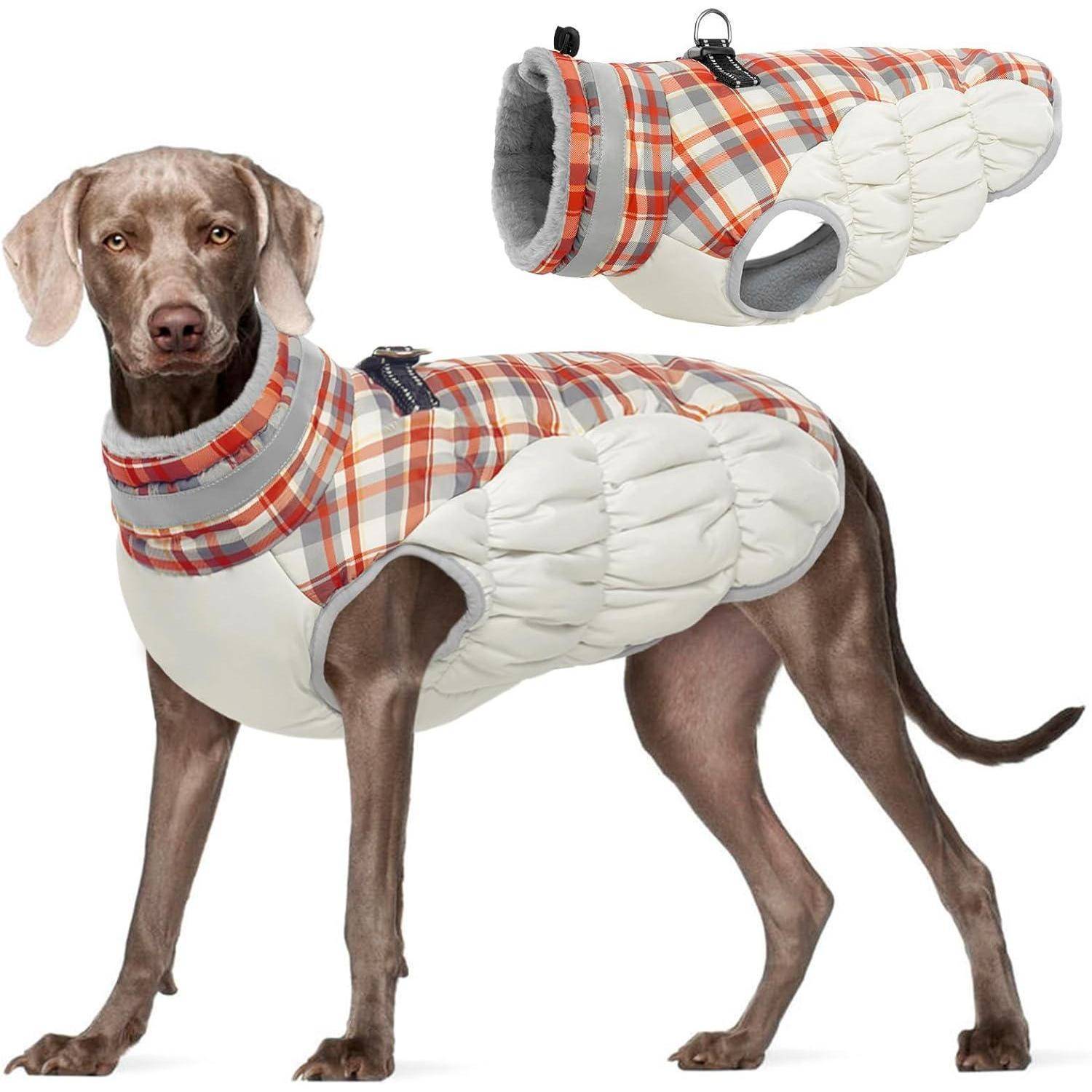 Ein Hund, der eine karierte und weiße gesteppte Weste trägt und steht, mit einer Nahaufnahme, die die Details der Weste zeigt.