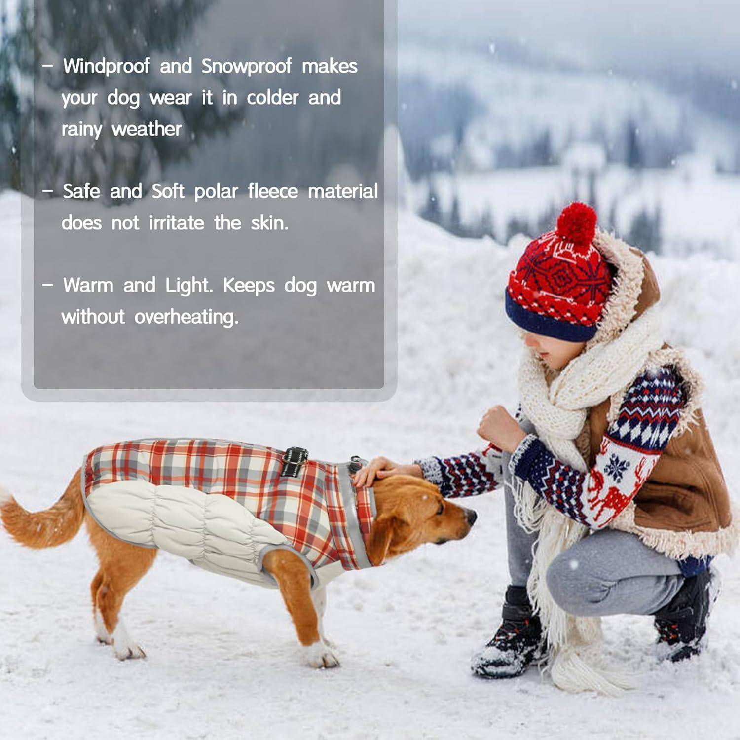 Eine Person in Winterkleidung kniet neben einem kleinen Hund mit Mantel bei Schneewetter im Freien. Der Text hebt die Vorteile von Hundekleidung hervor.