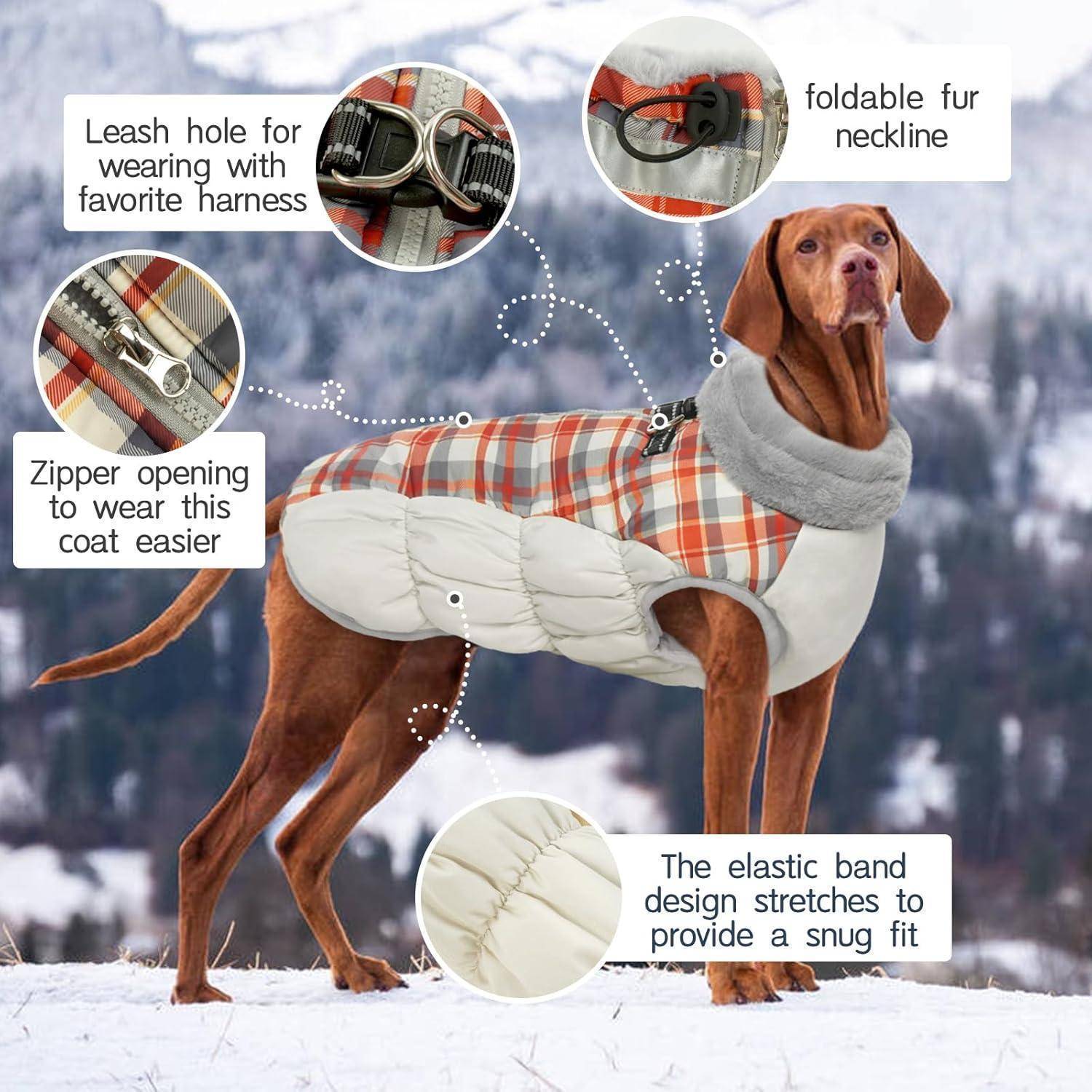 Ein Hund trägt einen karierten Wintermantel mit Eigenschaften wie Leinenloch, umklappbarem Kragen, Reißverschluss für einfaches Anziehen und elastischen Bändern für einen eng anliegenden Sitz. Verschneite Bergkulisse im Hintergrund.