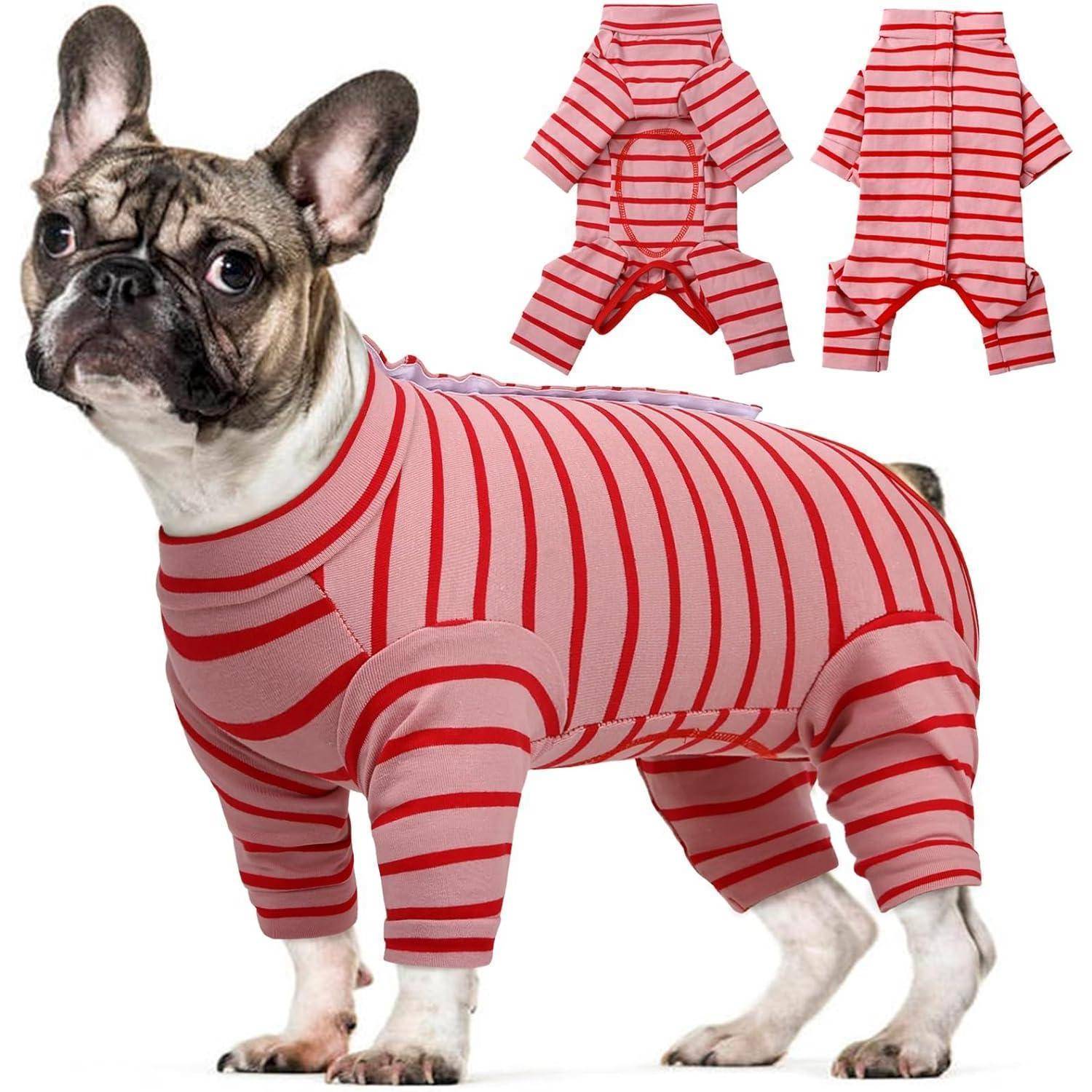 Ein kleiner Hund steht und trägt ein rot-weiß gestreiftes Outfit. Im Hintergrund sind drei zusätzliche Ansichten des Outfits zu sehen.