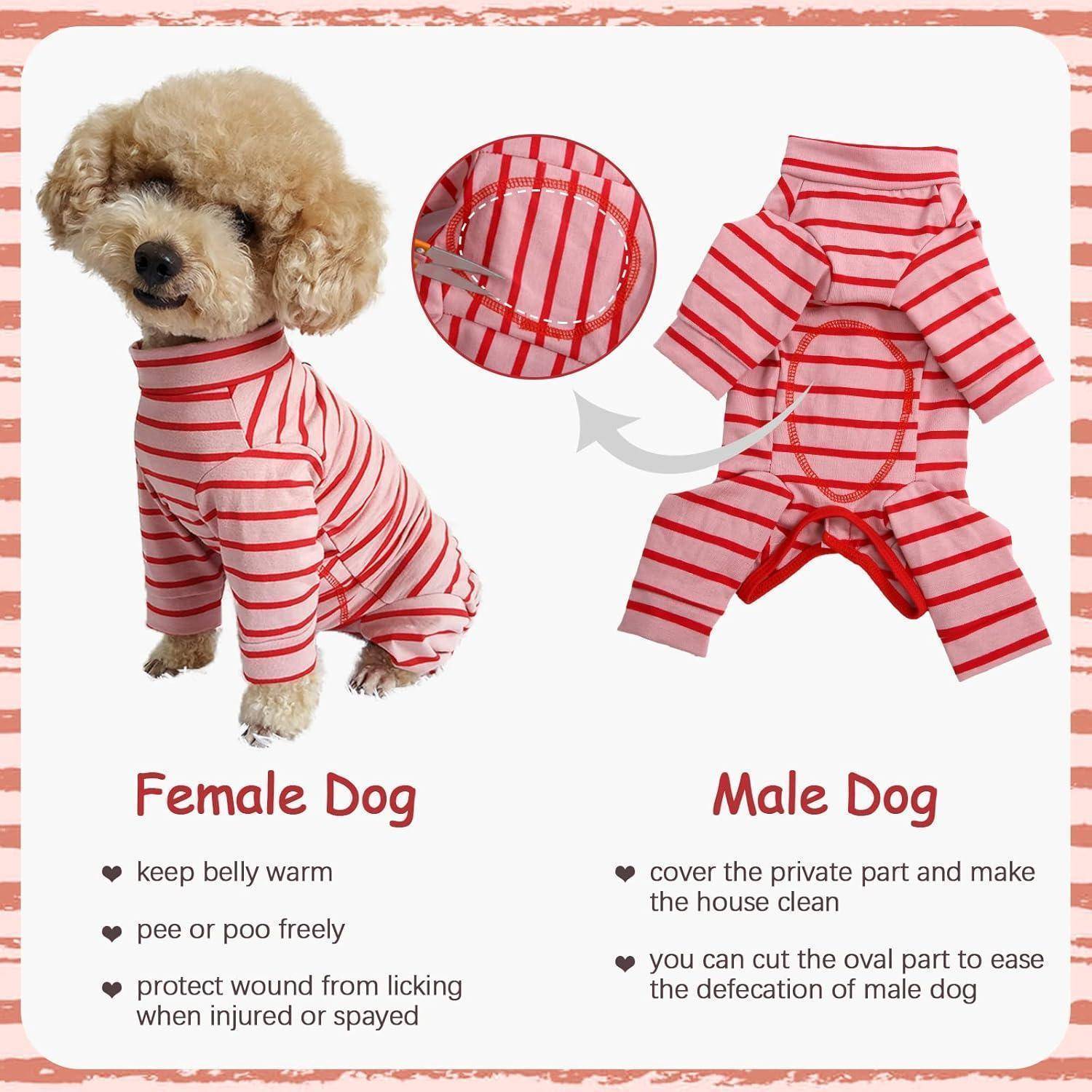 Ein kleiner Hund in einem rot-weiß gestreiften Outfit. Der Text erklärt die Unterschiede in den Outfitdesigns für männliche und weibliche Hunde in Bezug auf Komfort und Hygiene.