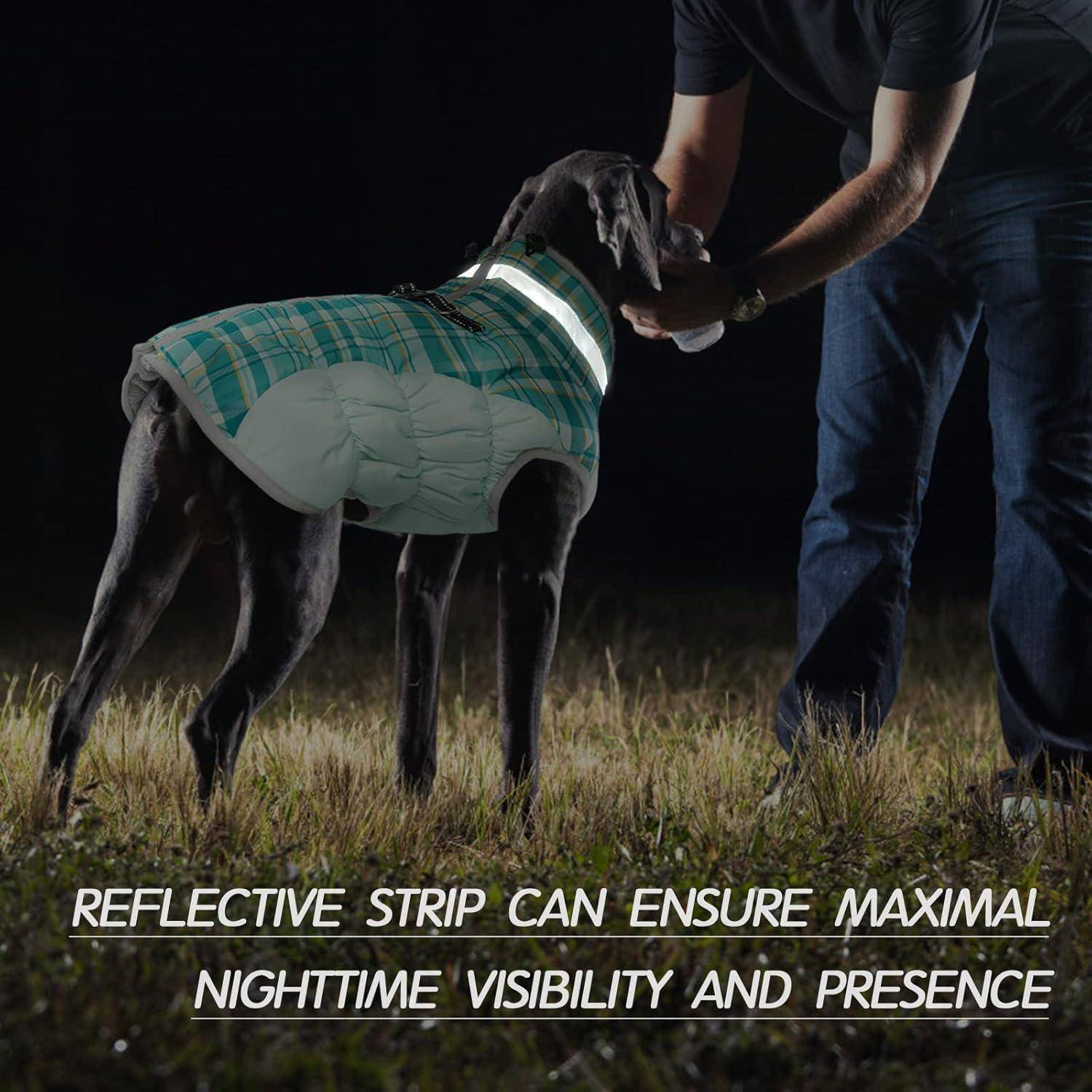 Ein Hund mit einer reflektierenden Warnweste steht auf Gras neben einer Person. Der Text darunter lautet: 