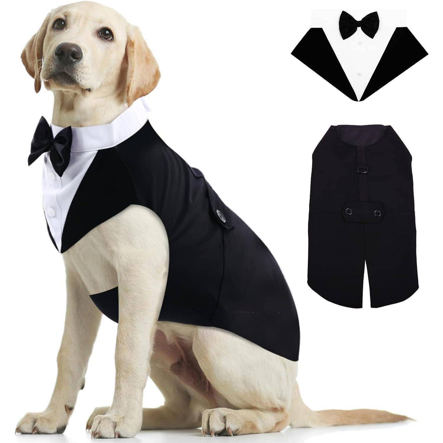Ein Hund trägt einen schwarz-weißen Smoking mit Fliege und sitzt geradeaus blickend. Darüber ist der Smoking flach ausgebreitet, wobei Details zu sehen sind.
