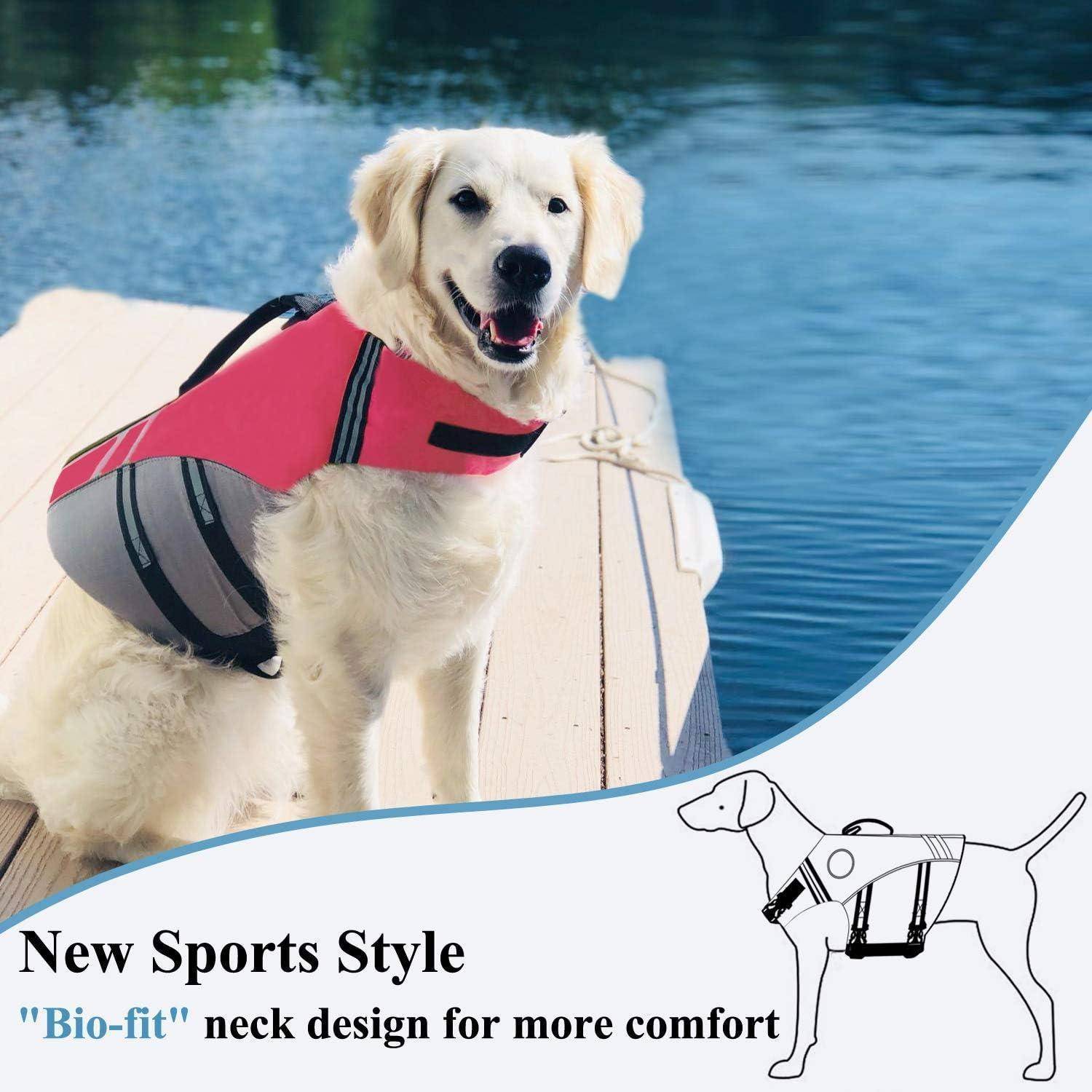 Ein Hund mit einer bunten Schwimmweste sitzt auf einem Steg am Wasser. Text lautet: 'Neuer Sportsstil. 
