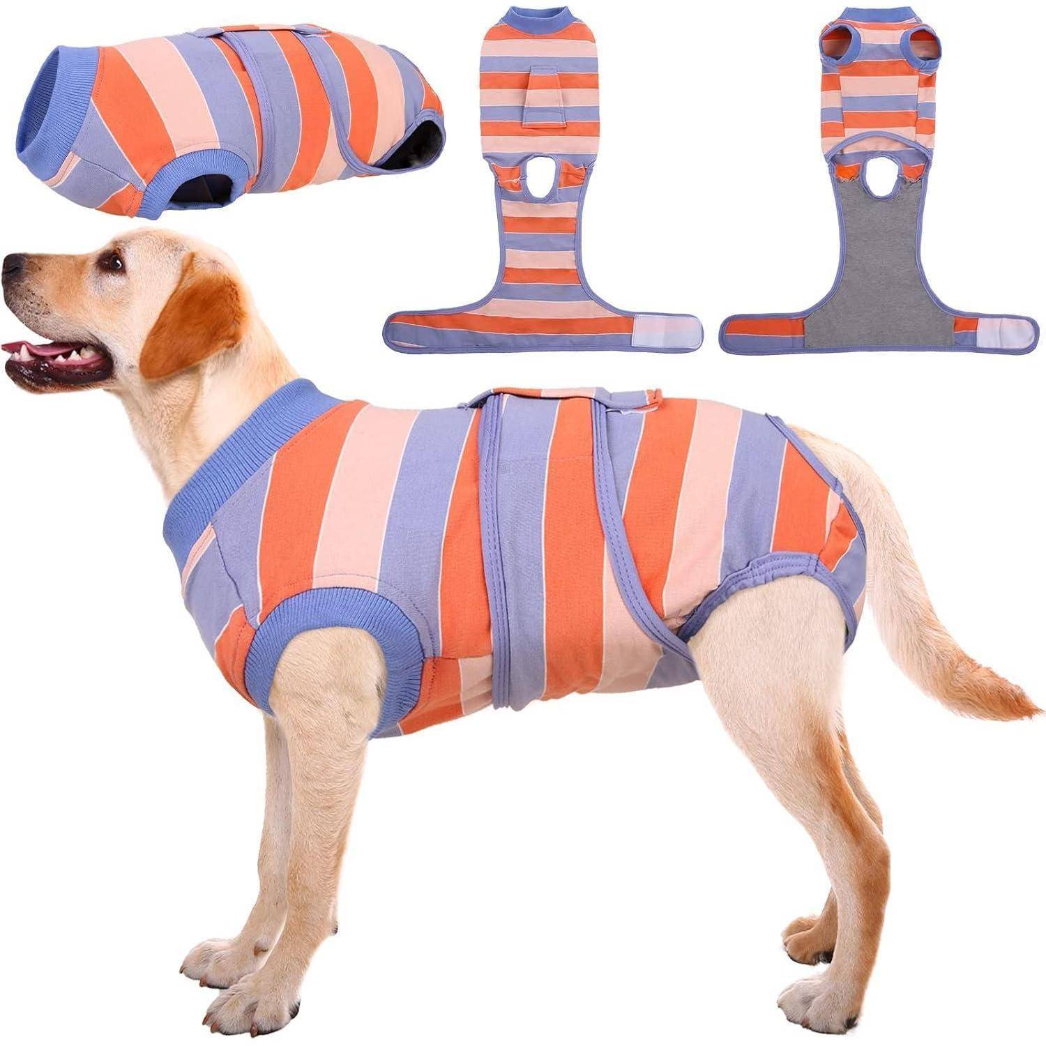 Ein Hund, der eine bunt gestreifte Weste trägt. Darüber sind Bilder, die das Design und die Passform der Weste aus verschiedenen Winkeln zeigen und ihre Abdeckung und den Stil hervorheben.