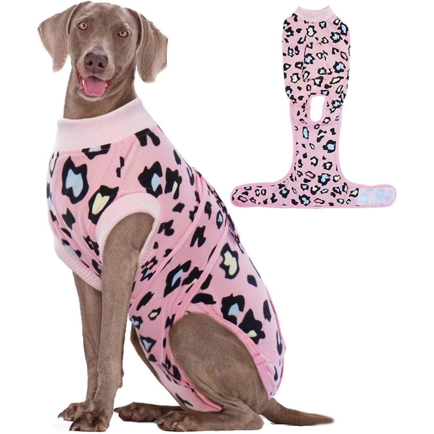 Ein brauner Hund trägt einen rosa Leoparden-Print-Body und sitzt nach vorn gerichtet, mit einer Detailansicht der Rückseite des Outfits, die flach ausgebreitet zu sehen ist.