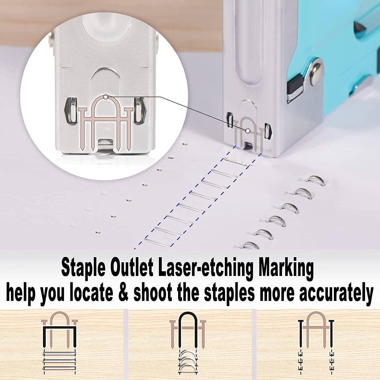 Handtacker Set Holztacker 3000 Klammern Klammerentferner Blau