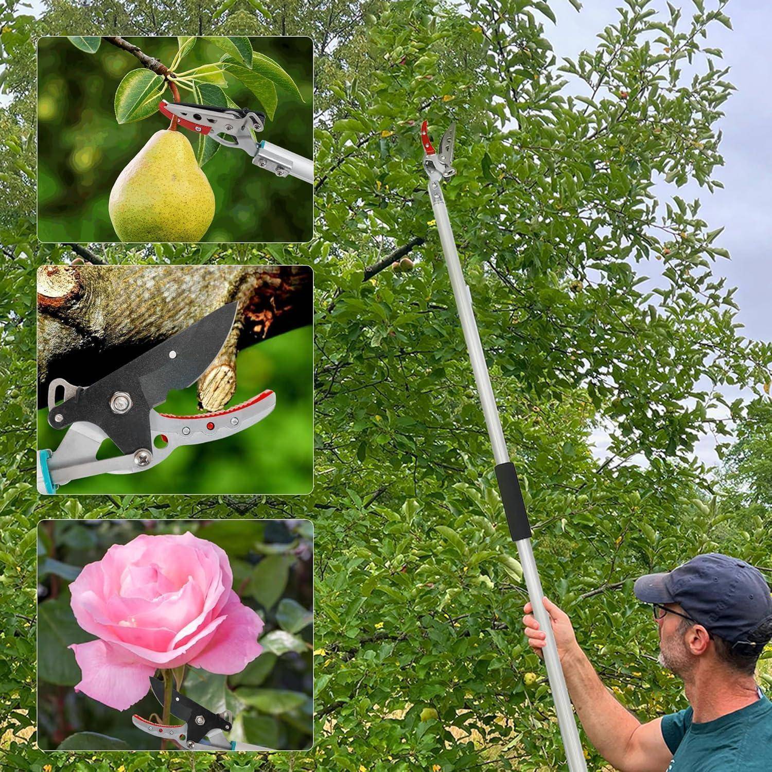 Eine Person verwendet eine Gartenschere mit langem Griff, um Äste von einem Baum zu beschneiden. Eingefügte Bilder zeigen Nahaufnahmen der Schere beim Schneiden einer Birne, eines Astes und einer Rose.