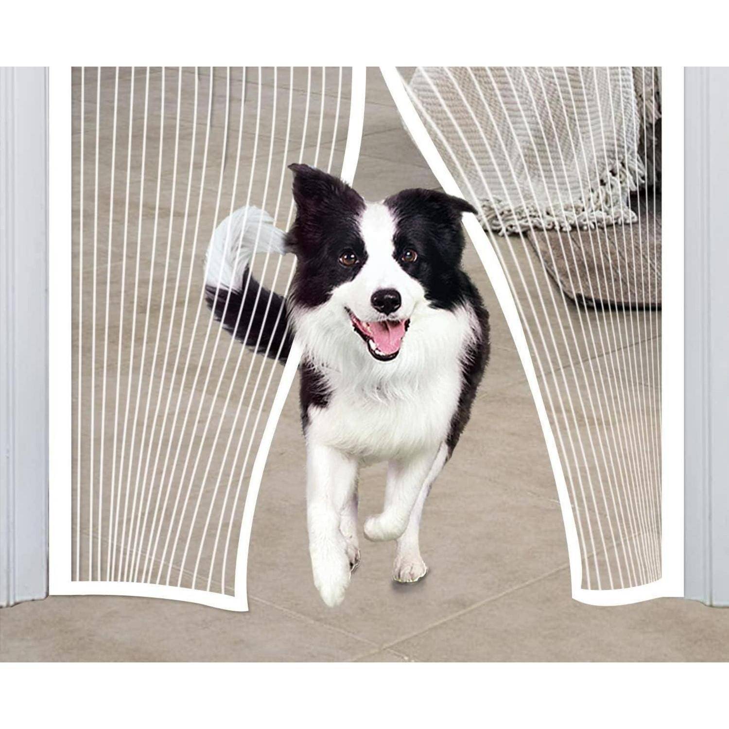 Ein schwarzweißer Hund läuft fröhlich durch eine magnetische Fliegengittertür, die leicht geöffnet und an einem Türrahmen befestigt ist.