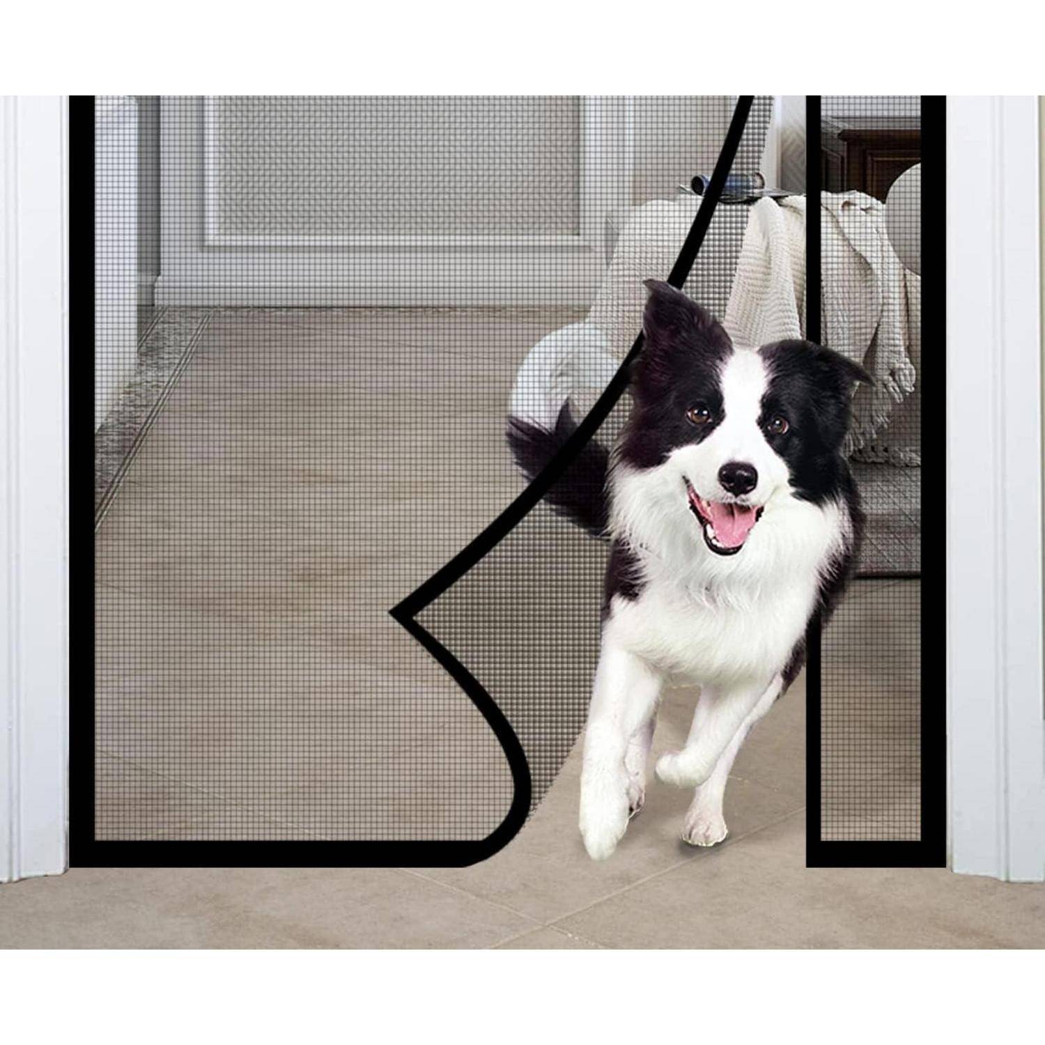 Ein Hund rennt fröhlich durch eine haustierfreundliche Fliegengittertür.