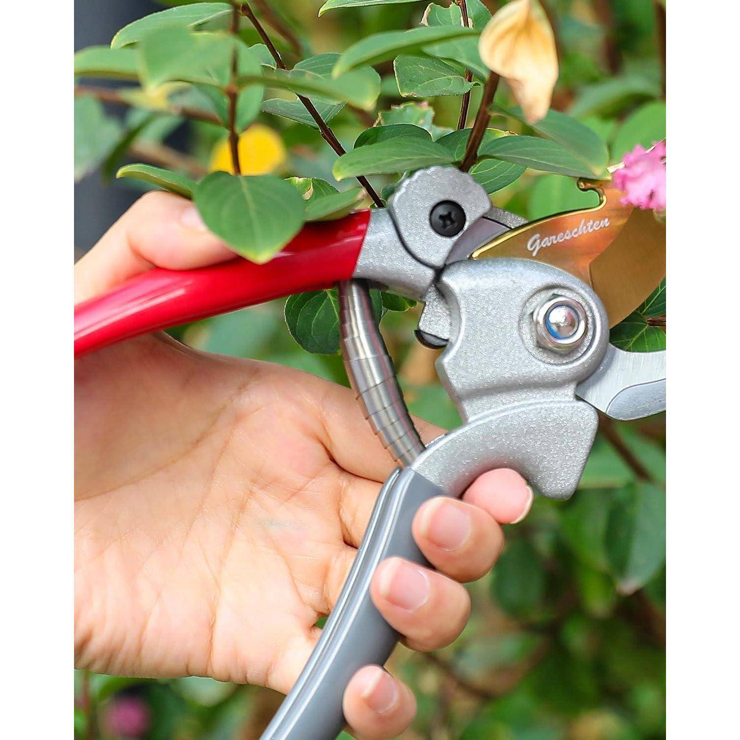 Eine Hand, die mit einer Gartenschere einen Zweig von einer blühenden Pflanze abschneidet. Das Werkzeug hat einen roten Griff und glänzende Metallklingen.
