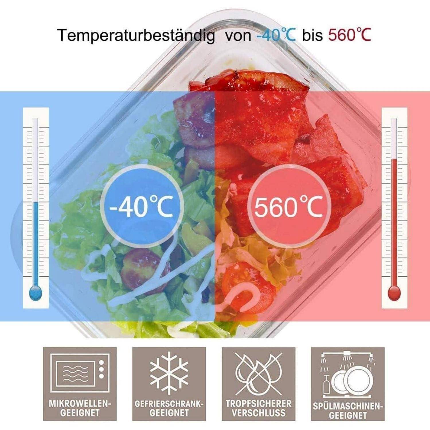 Bild eines transparenten Behälters mit Lebensmitteln im Inneren, der einen Temperaturbeständigkeitsbereich von '-40°C bis 560°C' zeigt. Symbole kennzeichnen die Eignung für Mikrowelle, Gefrierschrank, Auslaufsicherheit und Spülmaschine.