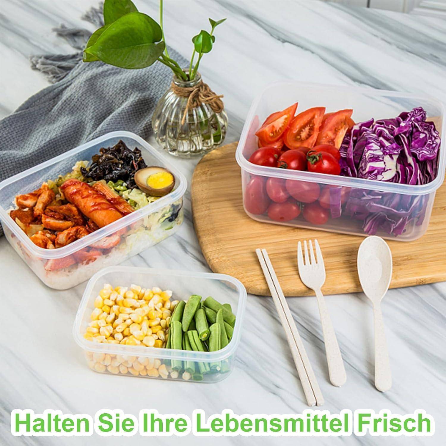 Drei Lebensmittelbehälter: einer mit Tomaten und Kohl, zweiter mit Seetang und Lachs, dritter mit Mais und Bohnen. Text: 'Halten Sie Ihre Lebensmittel Frisch