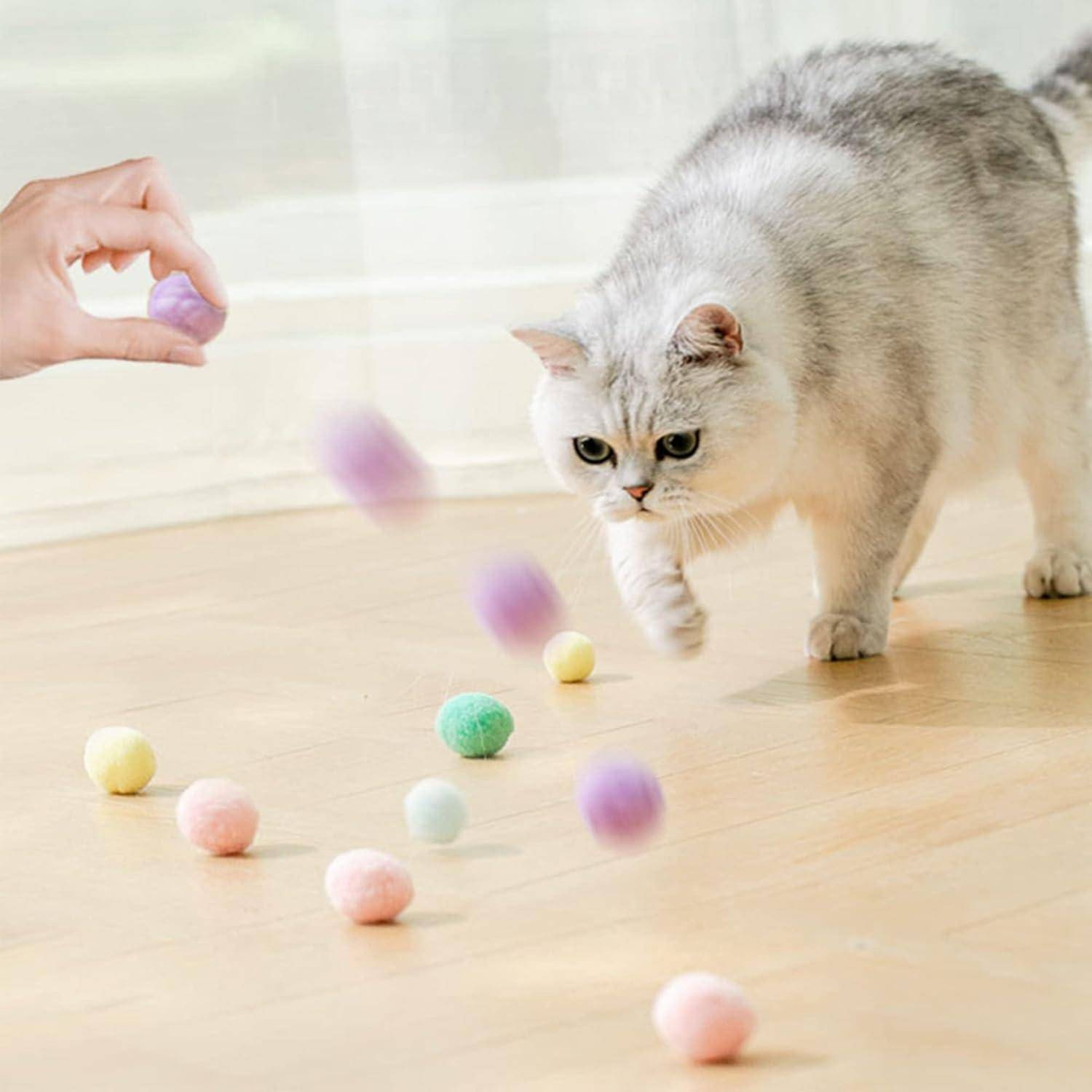Eine graue Katze beobachtet aufmerksam bunte Bälle, die über einen Holzboden rollen, was Spielfreude und Neugier andeutet.