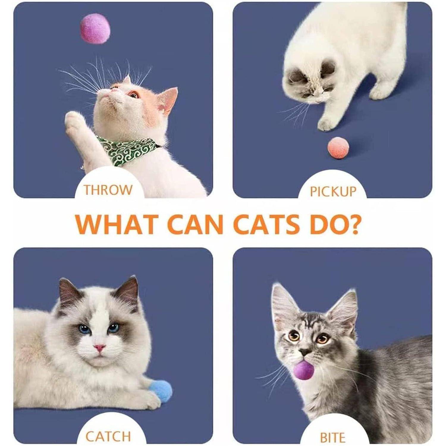 Vier Bilder von Katzen, die mit Bällen interagieren: oben links 'Werfen', oben rechts 'Aufheben', unten links 'Fangen', unten rechts 'Beißen'. Text lautet 'Was können Katzen tun?'.