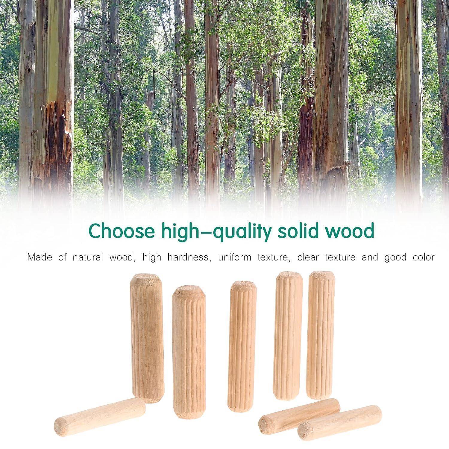 Holzdübel Set Riffeldübel Buche 650 Stück 6x30 8x40 10x40 mm