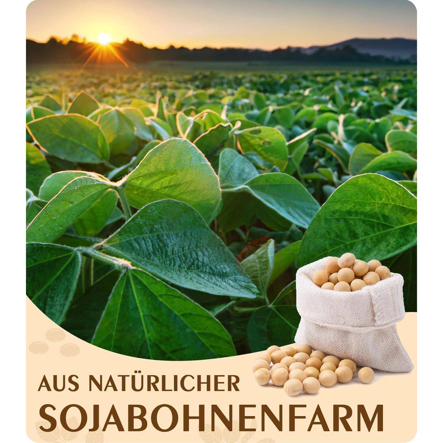 Sonnenuntergang über einem Sojabohnenfeld mit einem Sack Sojabohnen im Vordergrund. Text lautet: Aus natürlicher Sojabohnenfarm.