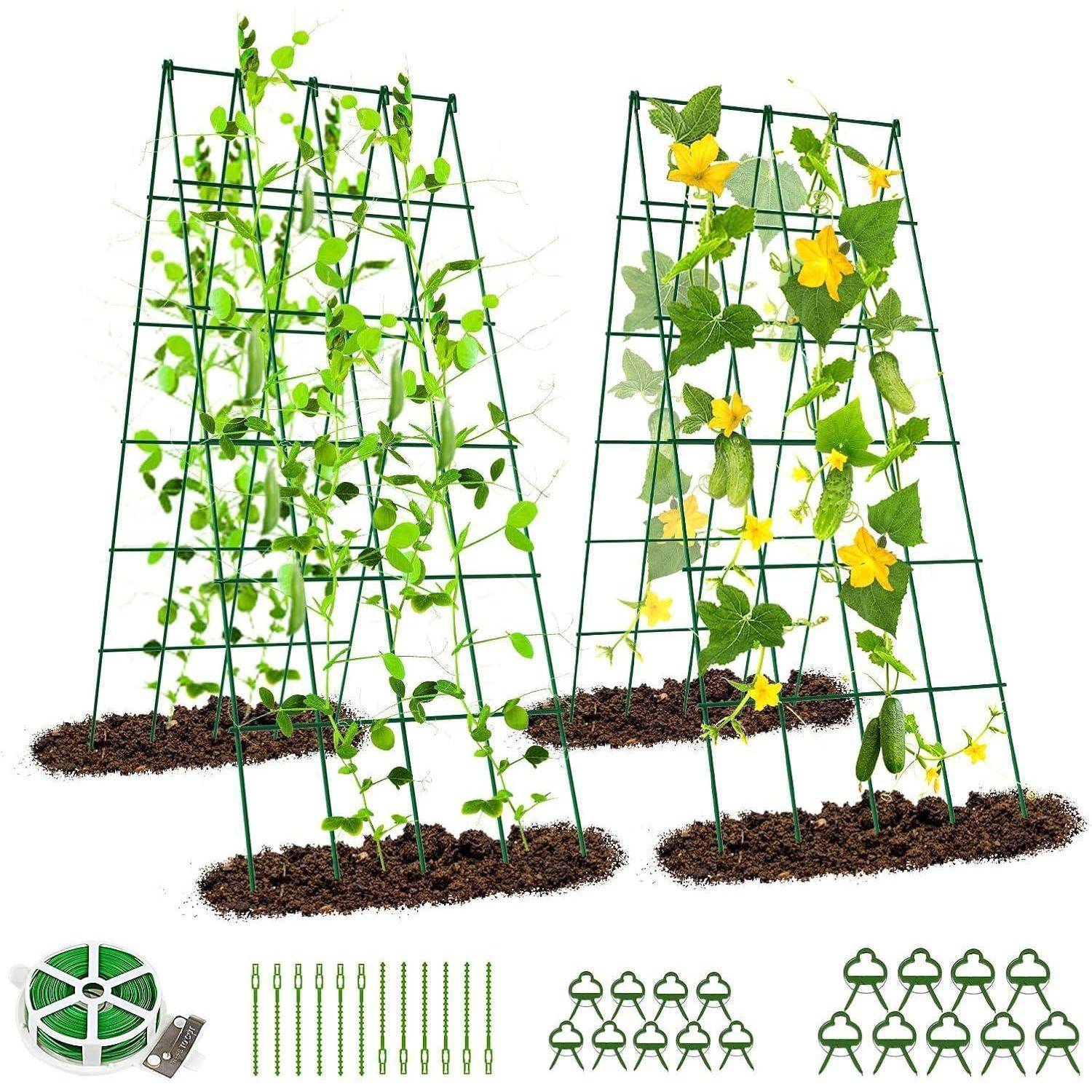 Metall Gurken Rankhilfe 2er Set, Kletterpflanzen Rankgitter für Gurke