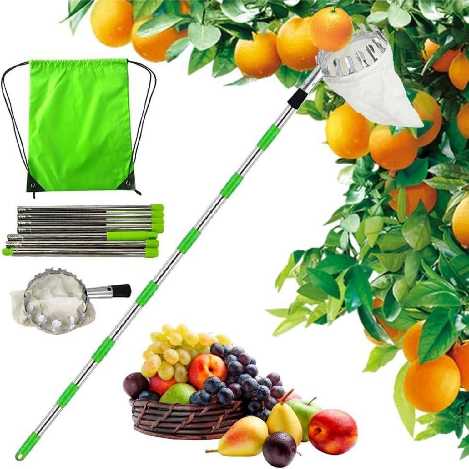 Ein Obstpflücker mit einer Teleskopstange steht neben einem Orangenbaum, der mit Orangen behangen ist. Ein Rucksack befindet sich in der Nähe sowie verschiedene Früchte in einem Korb.