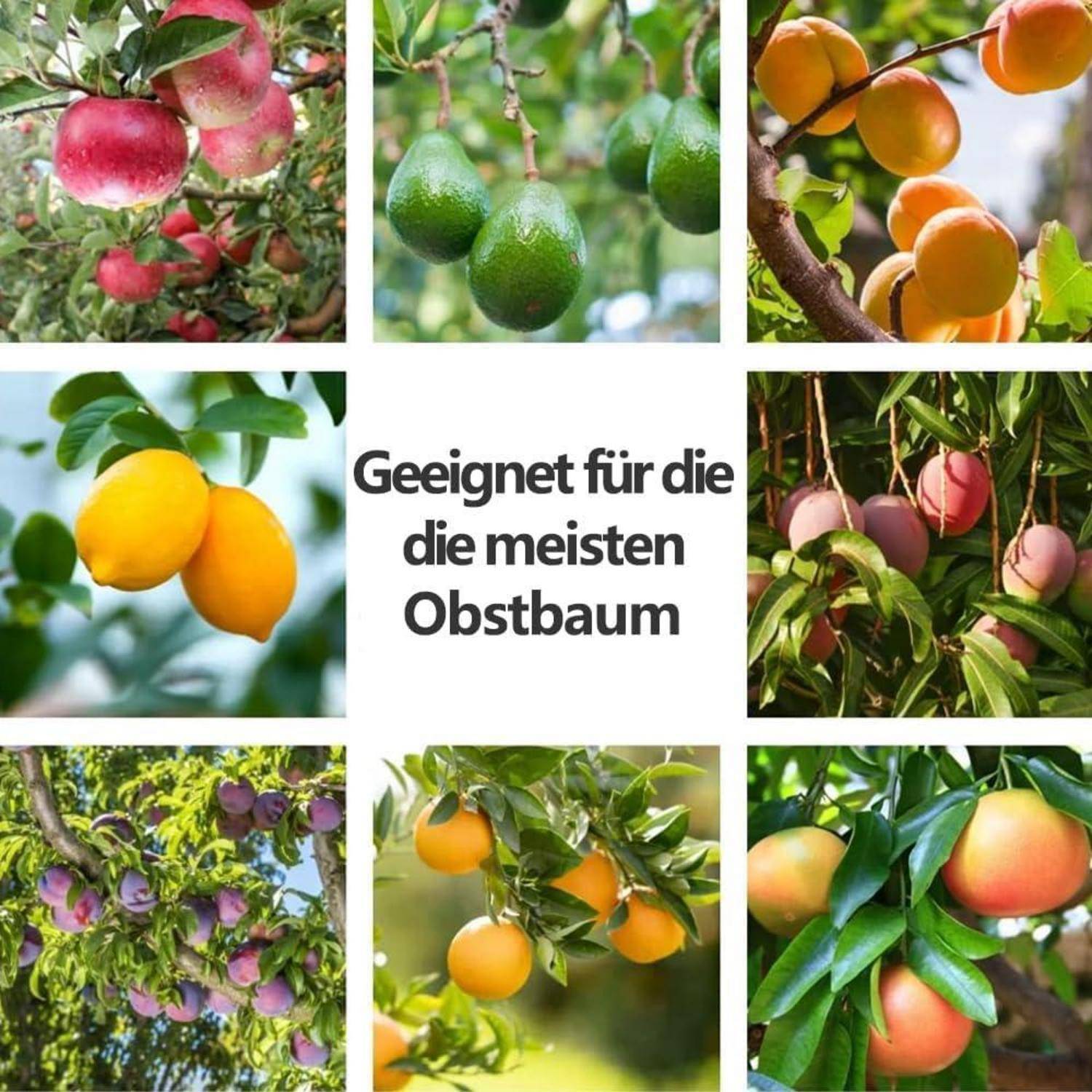 Eine Vielzahl von Obstbäumen, darunter Äpfel, Avocados und Orangen, umgibt den Text 'Geeignet für die meisten Obstbaum'.