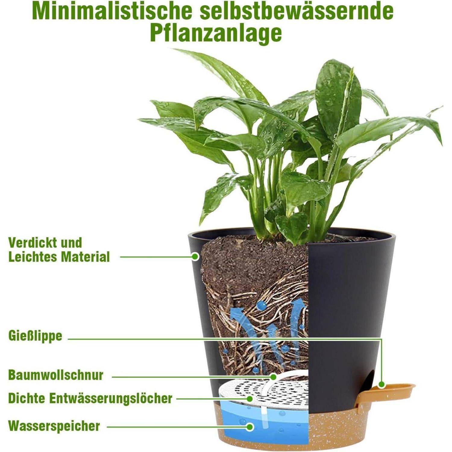 6er Set Selbstbewässernde Blumentöpfe Schwarz