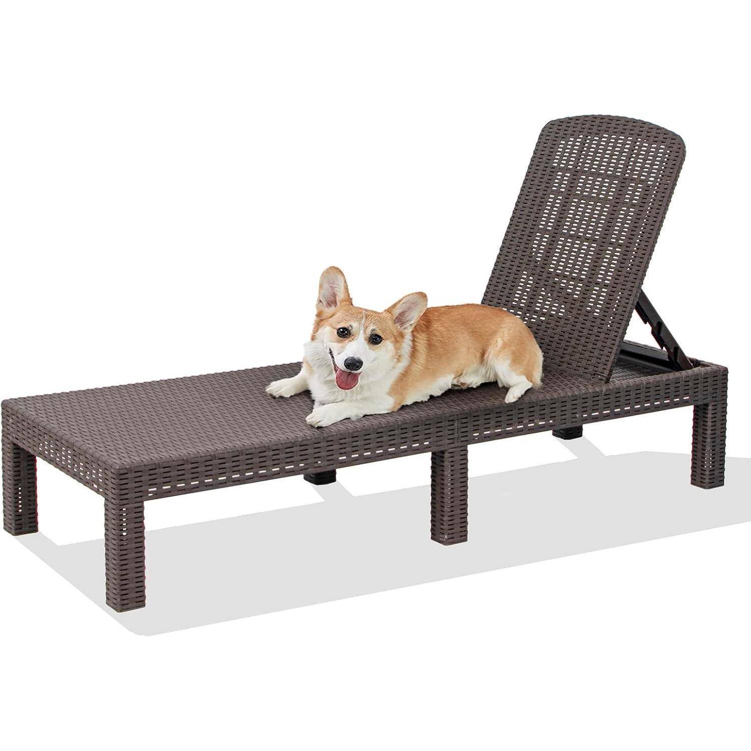 Ein Corgi-Hund liegt gemütlich auf einem braunen Korbgeflecht-Liegestuhl mit verstellbarer Rückenlehne.