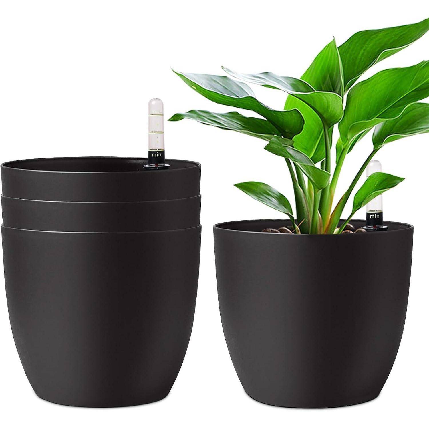 Eine grüne Pflanze in einem schwarzen selbstbewässernden Topf mit einem Wasserstandsanzeiger. Zusätzliche leere Töpfe sind daneben gestapelt.