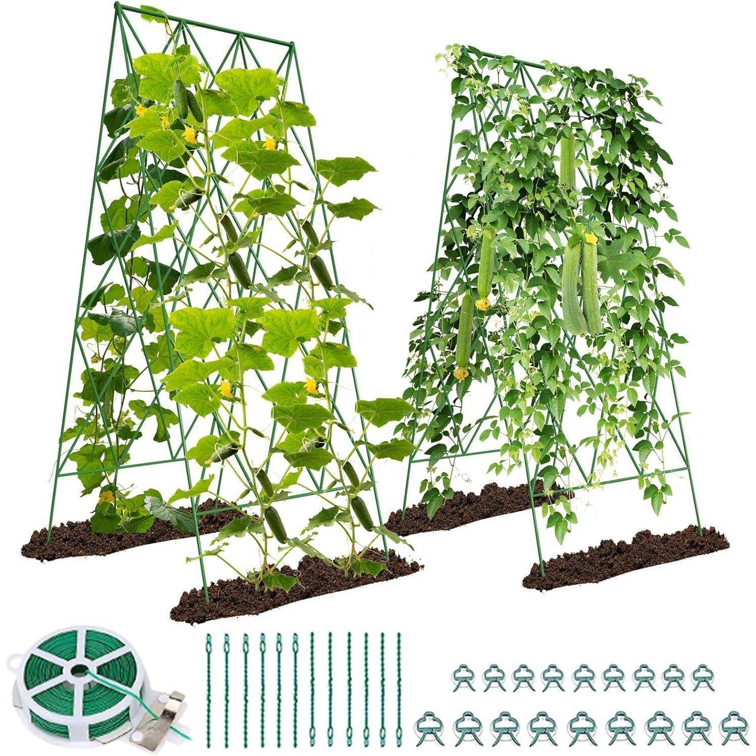 Zwei Pflanzengitter mit Kletterpflanzen und Gurken. Enthält Gartenzubehör: Bindungen, Clips und eine Rolle grüner Drahtbinder.