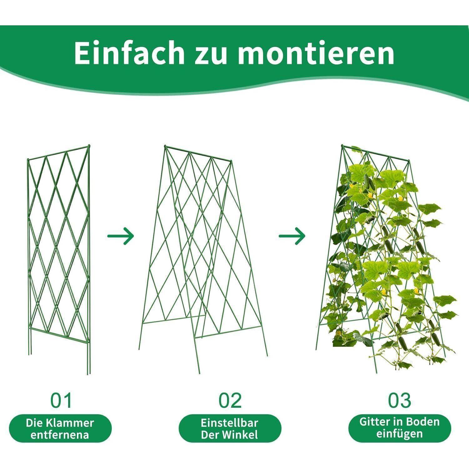 Anleitung zur Trellisaufbau in drei Schritten: 1) Clip entfernen, 2) Winkel einstellen, 3) Gitter in den Boden einsetzen. Reben wachsen am Trellis.