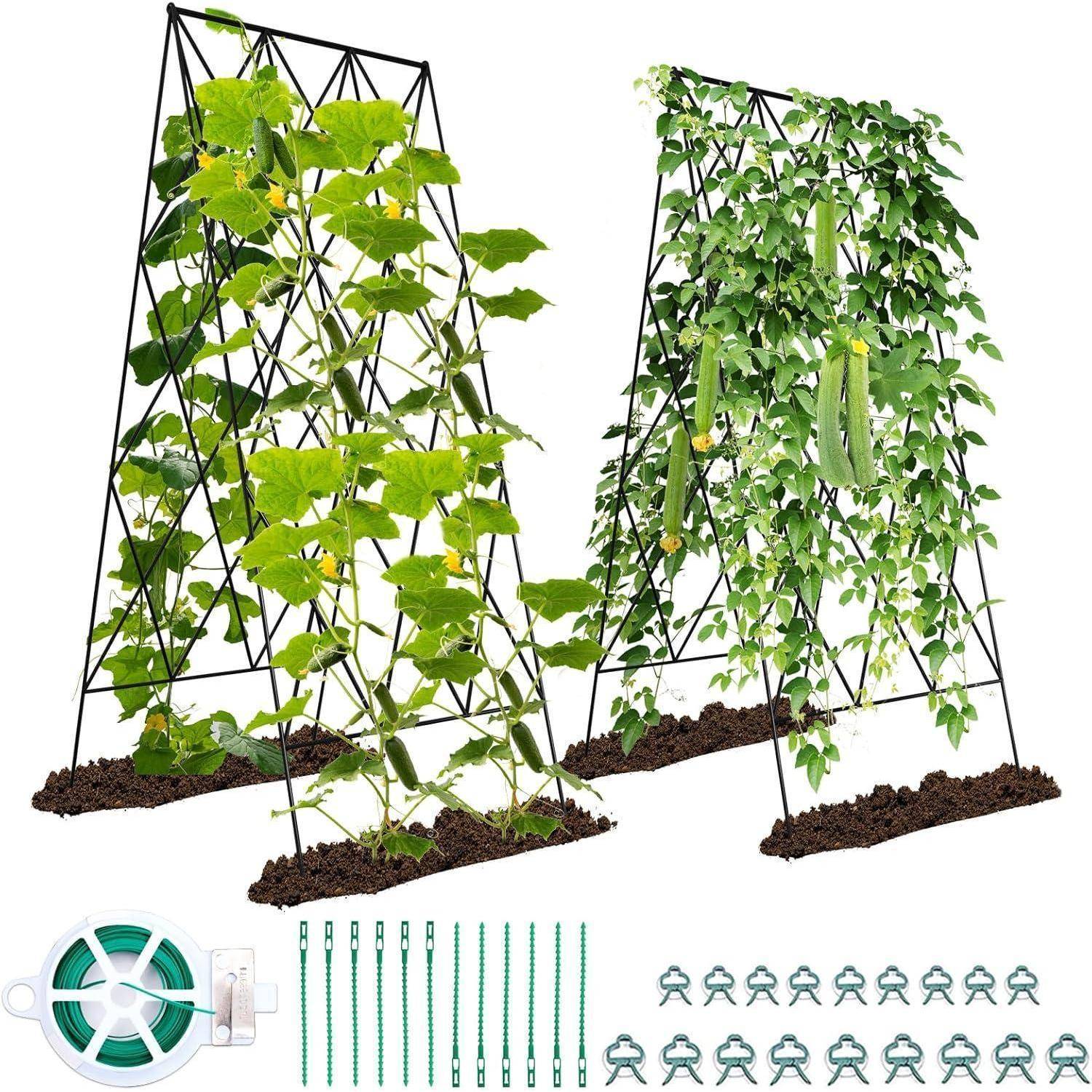Gartenspalier-Aufbau mit Kletterpflanzen, einschließlich Gurken, die durch Netze gestützt werden. Beinhaltet Gartenbinder, Pflöcke und Pflanzenstützen.