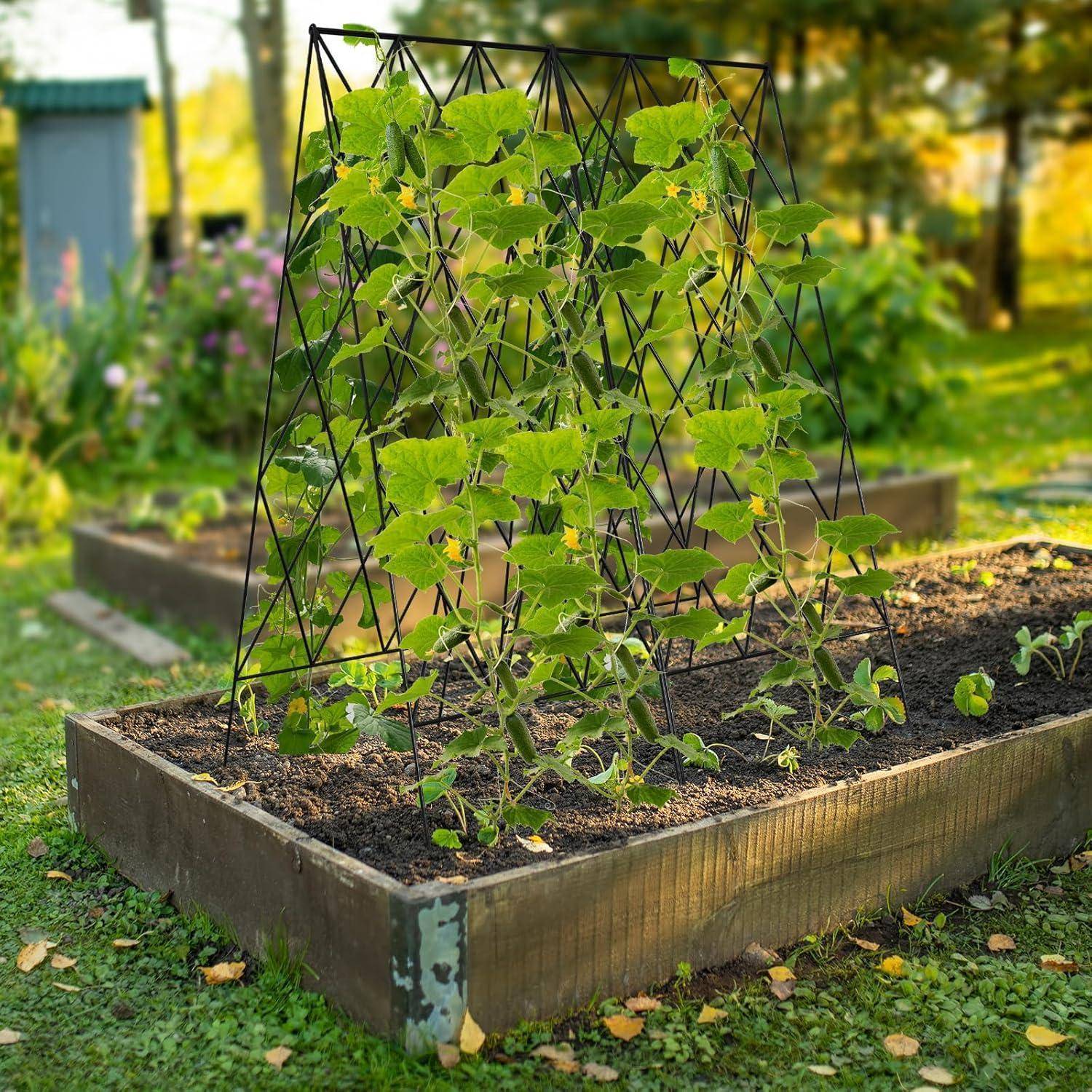 Ein erhöhtes Hochbeet mit einem dreieckigen Rankgitter, das Klettergurken in einer üppigen Gartenumgebung stützt.