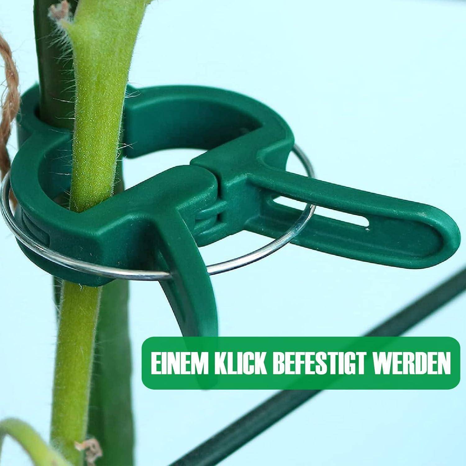 Ein Pflanzenstängel wird mit einer grünen Plastikklammer sicher gehalten. Der Text auf der Klammer lautet „EINEM KLICK BEFESTIGT WERDEN