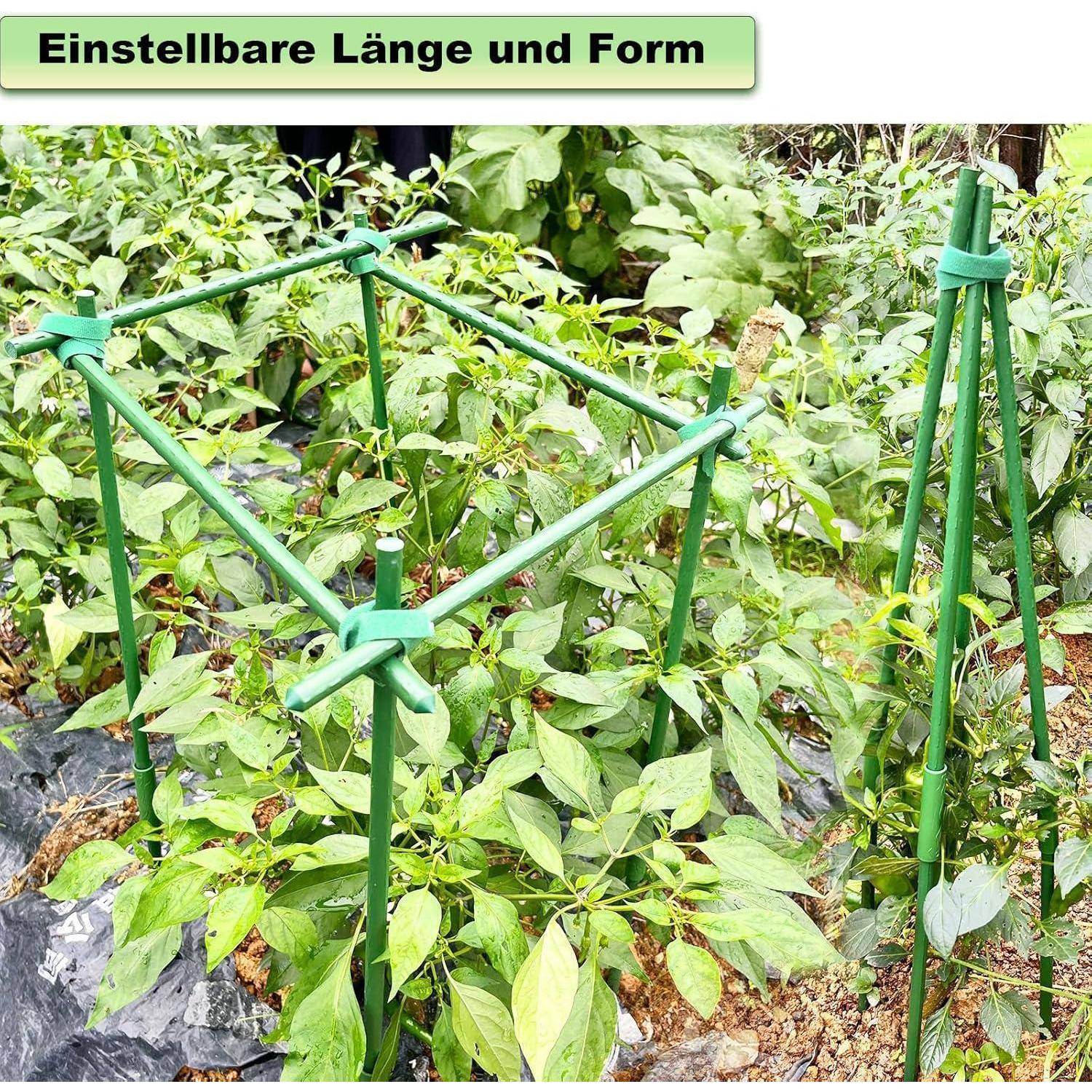 Eine grüne, verstellbare Pflanzenstützkonstruktion wird um Paprikapflanzen gezeigt, mit dem Text ‚Einstellbare Länge und Form' darüber.